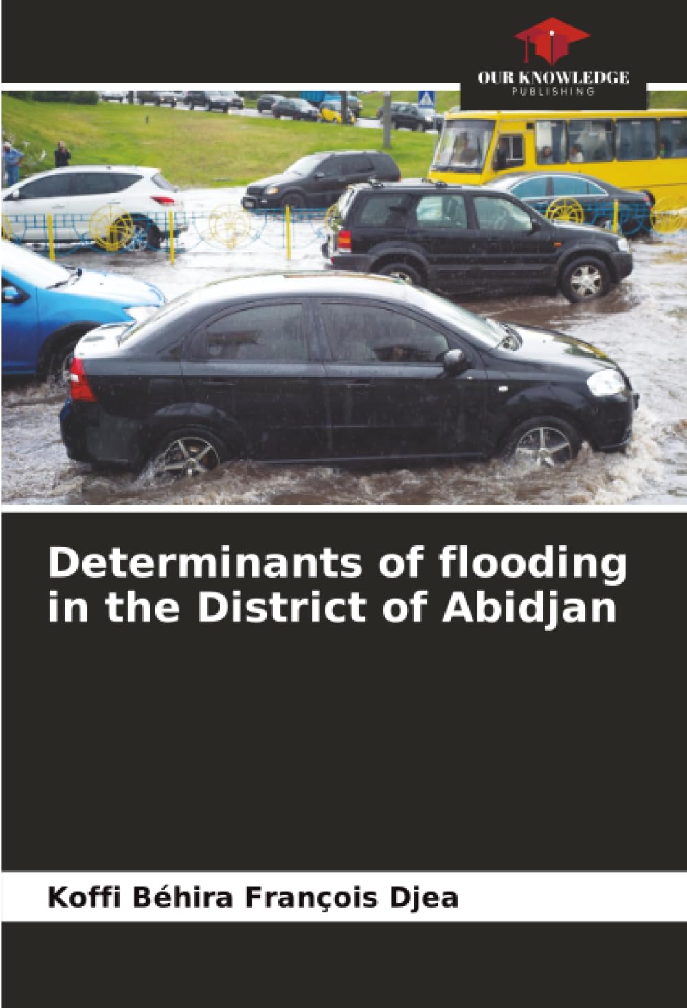 Determinants of flooding in the District of Abidjan Business & Technology