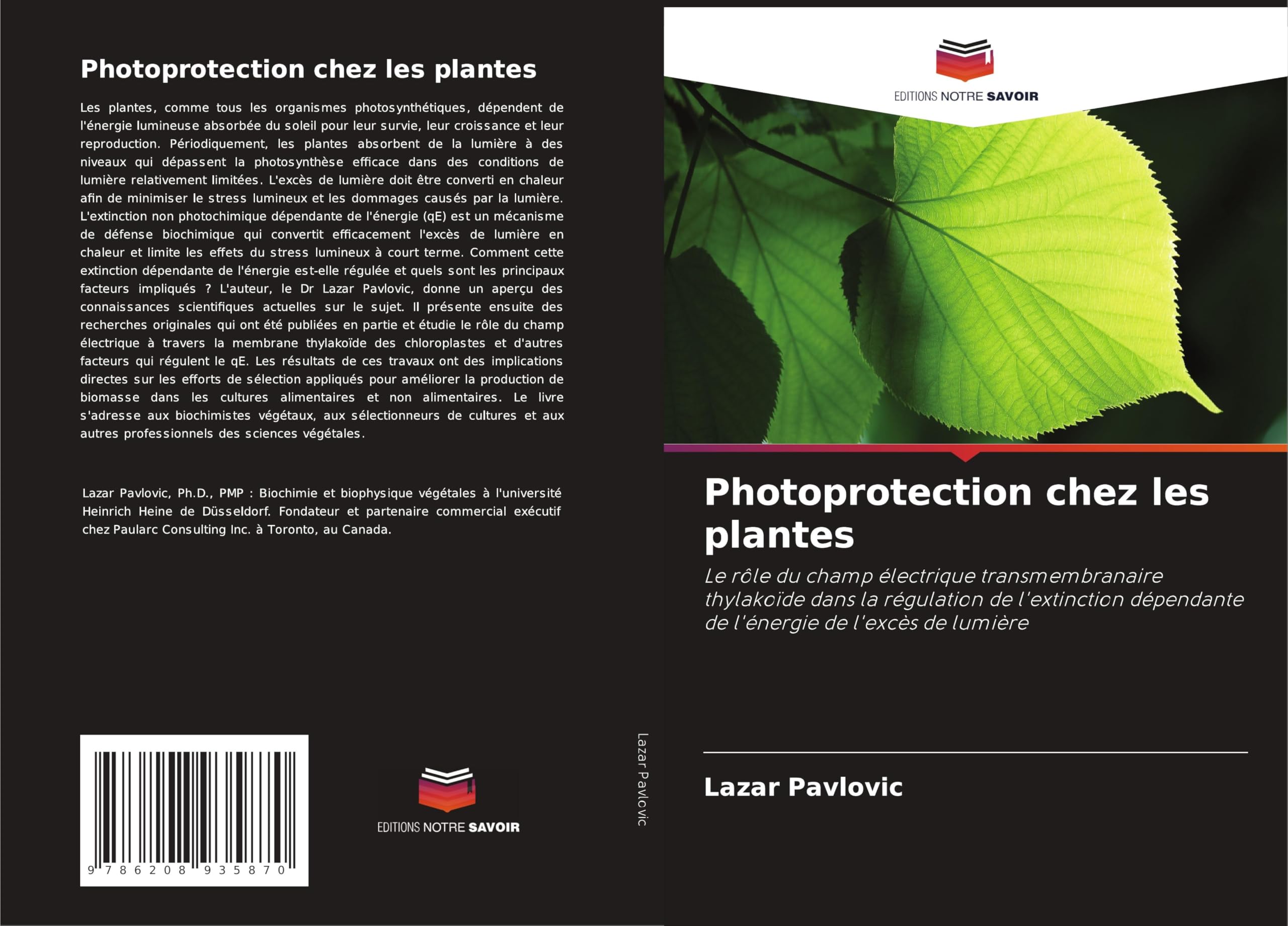 Photoprotection chez les plantes Natural Sciences