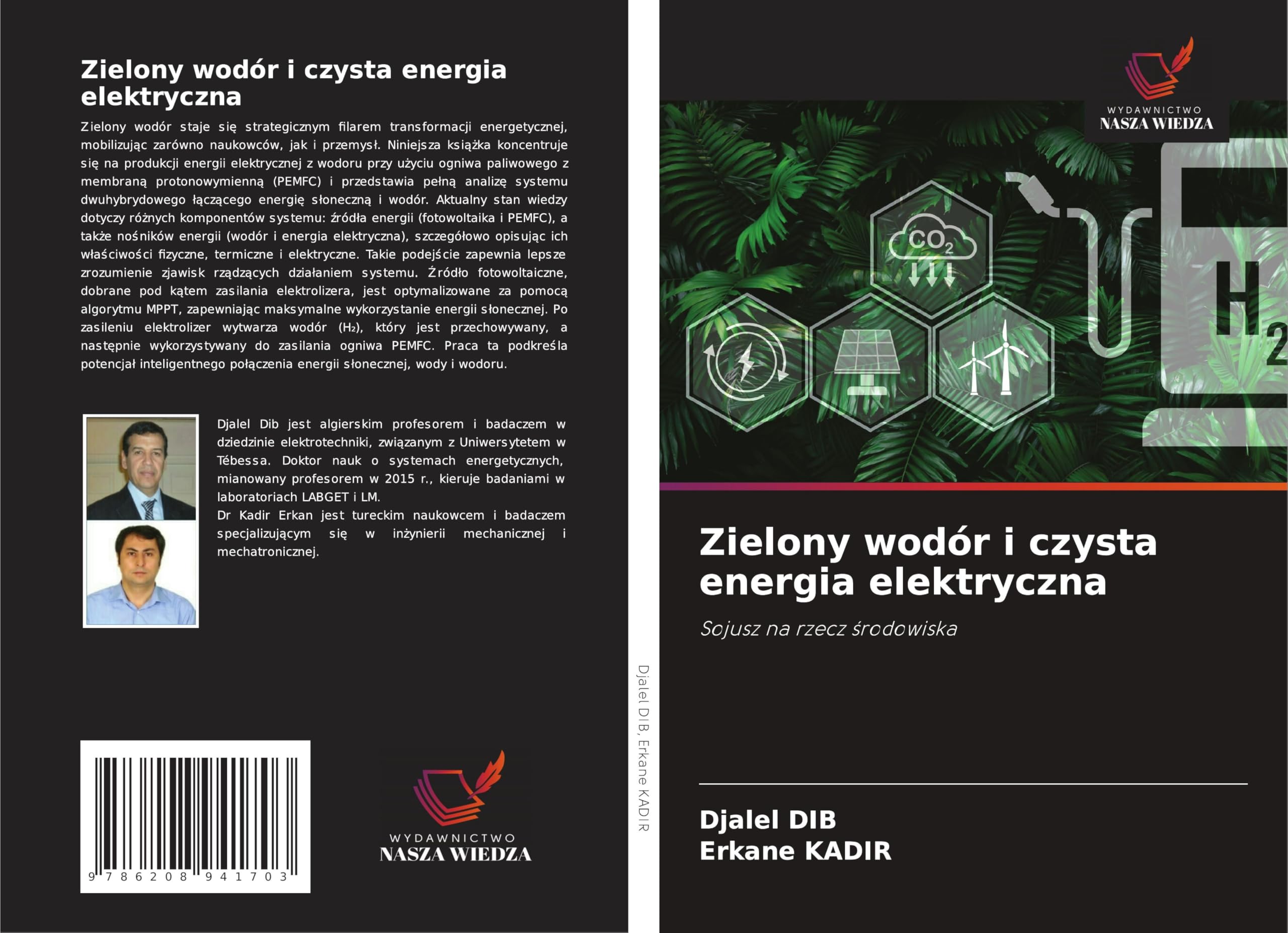 Zielony wodór i czysta energia elektryczna Business & Technology