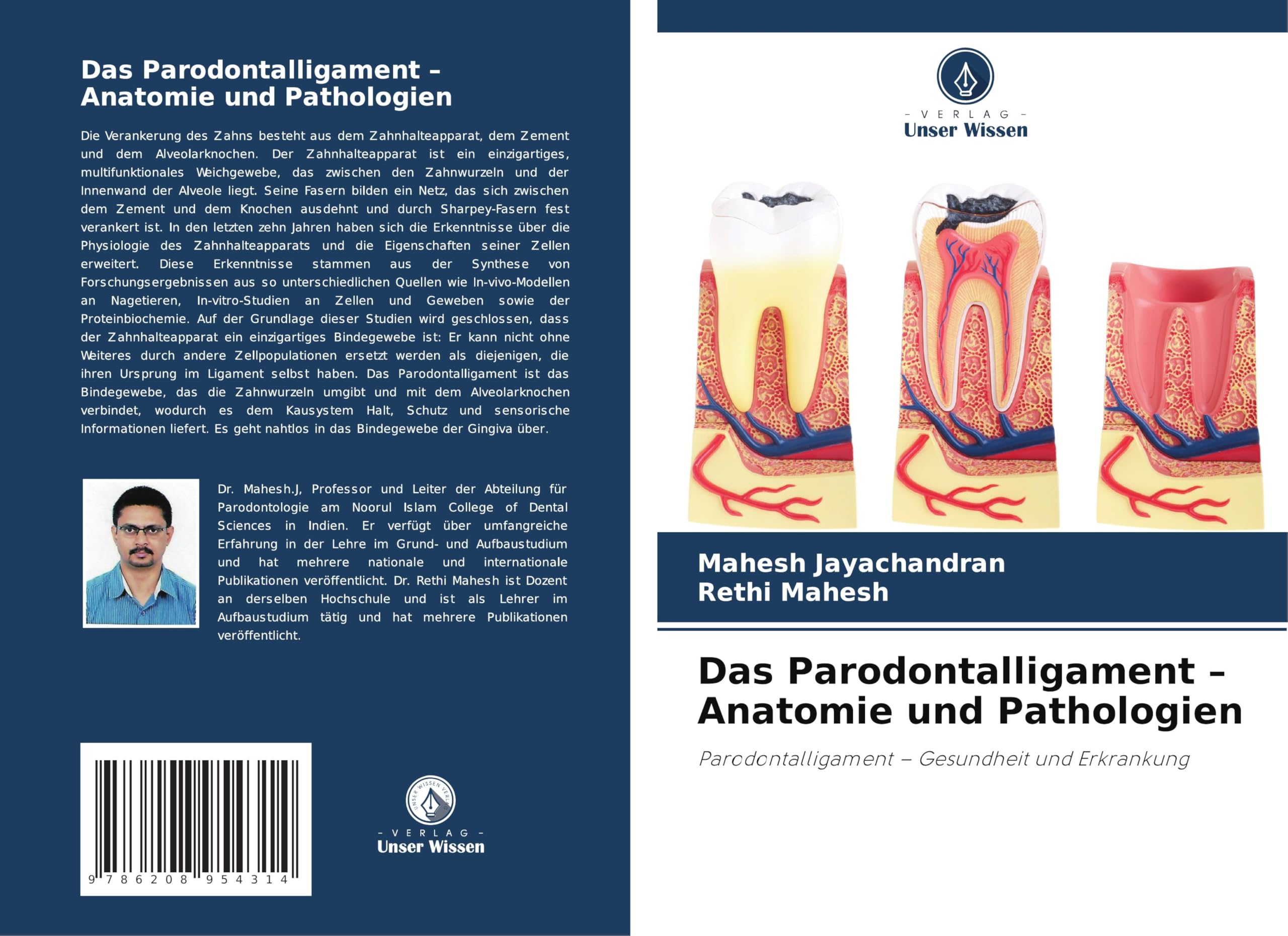 Das Parodontalligament - Anatomie und Pathologien Medicine