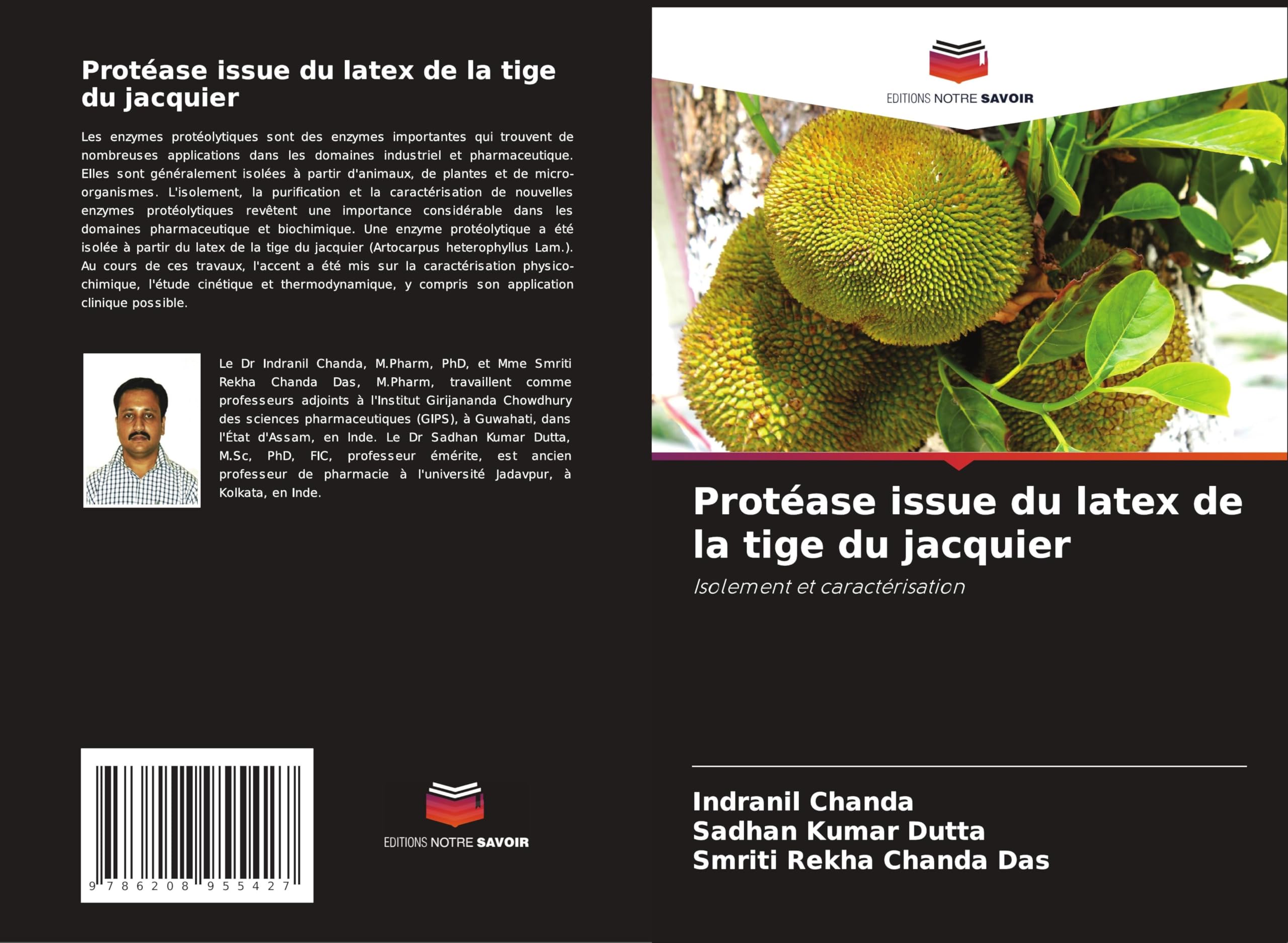 Protéase issue du latex de la tige du jacquier Medicine