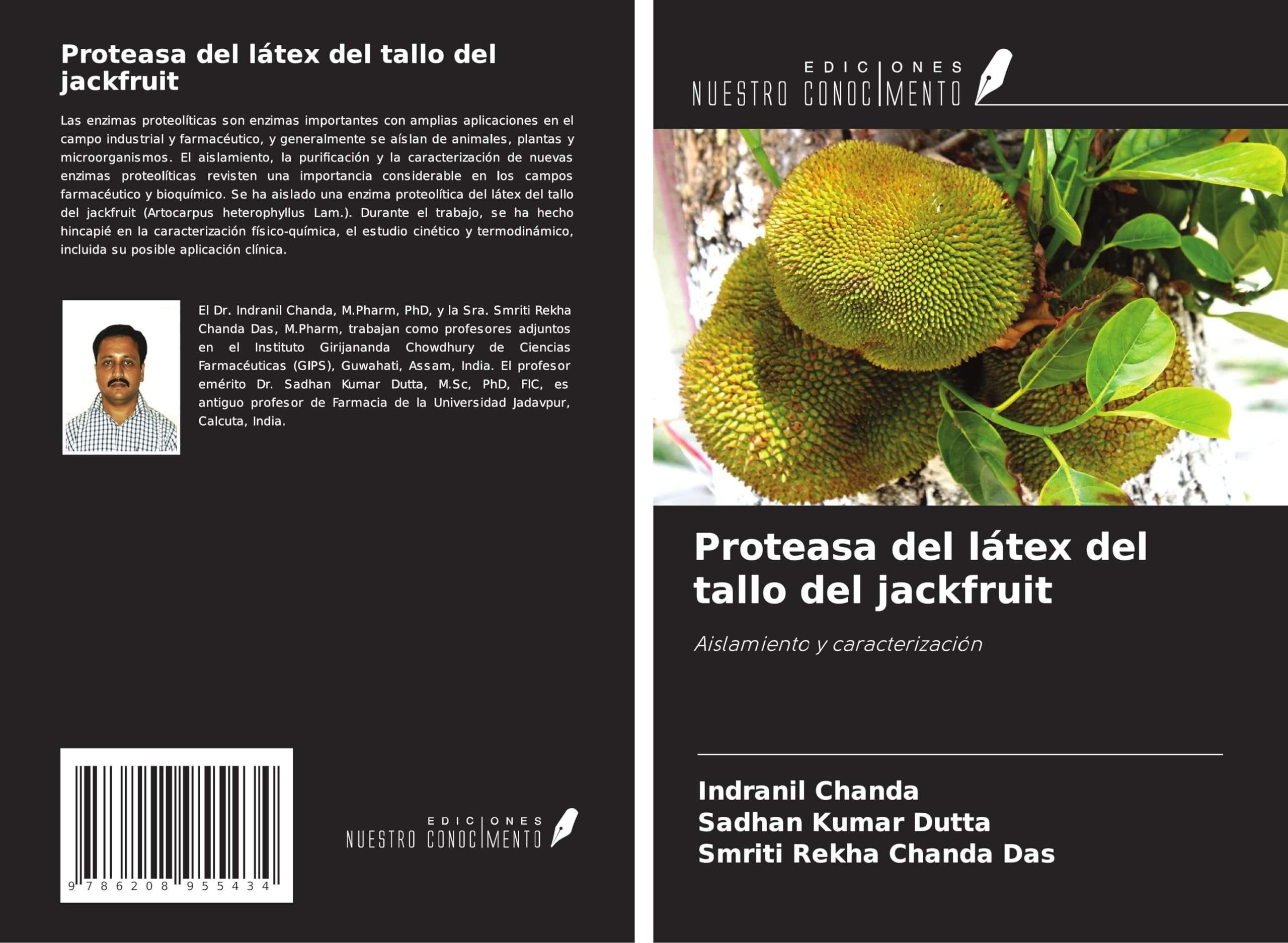 Proteasa del látex del tallo del jackfruit Medicine