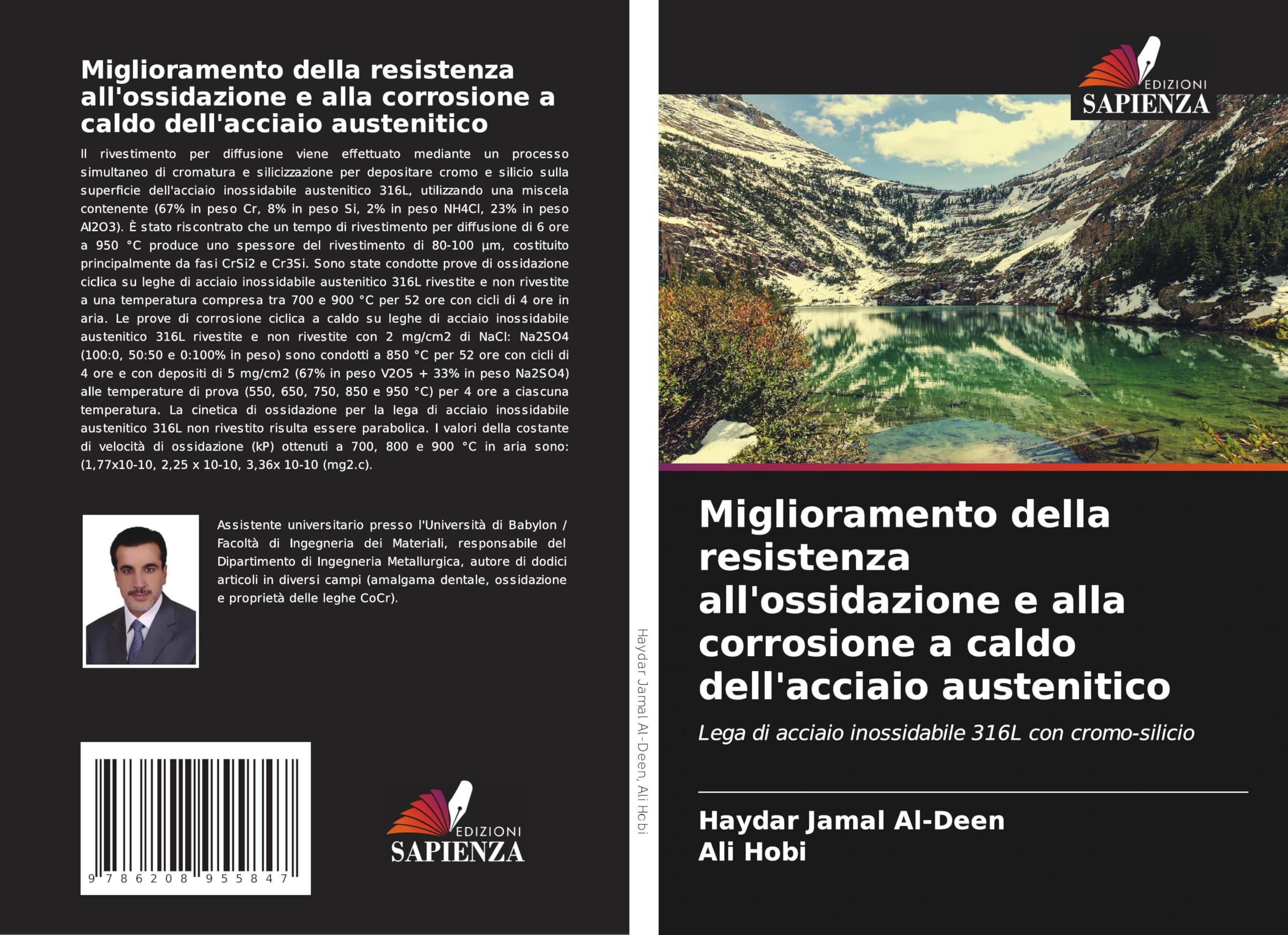 Miglioramento della resistenza all'ossidazione e alla corrosione a caldo dell'acciaio austenitico Natural Sciences