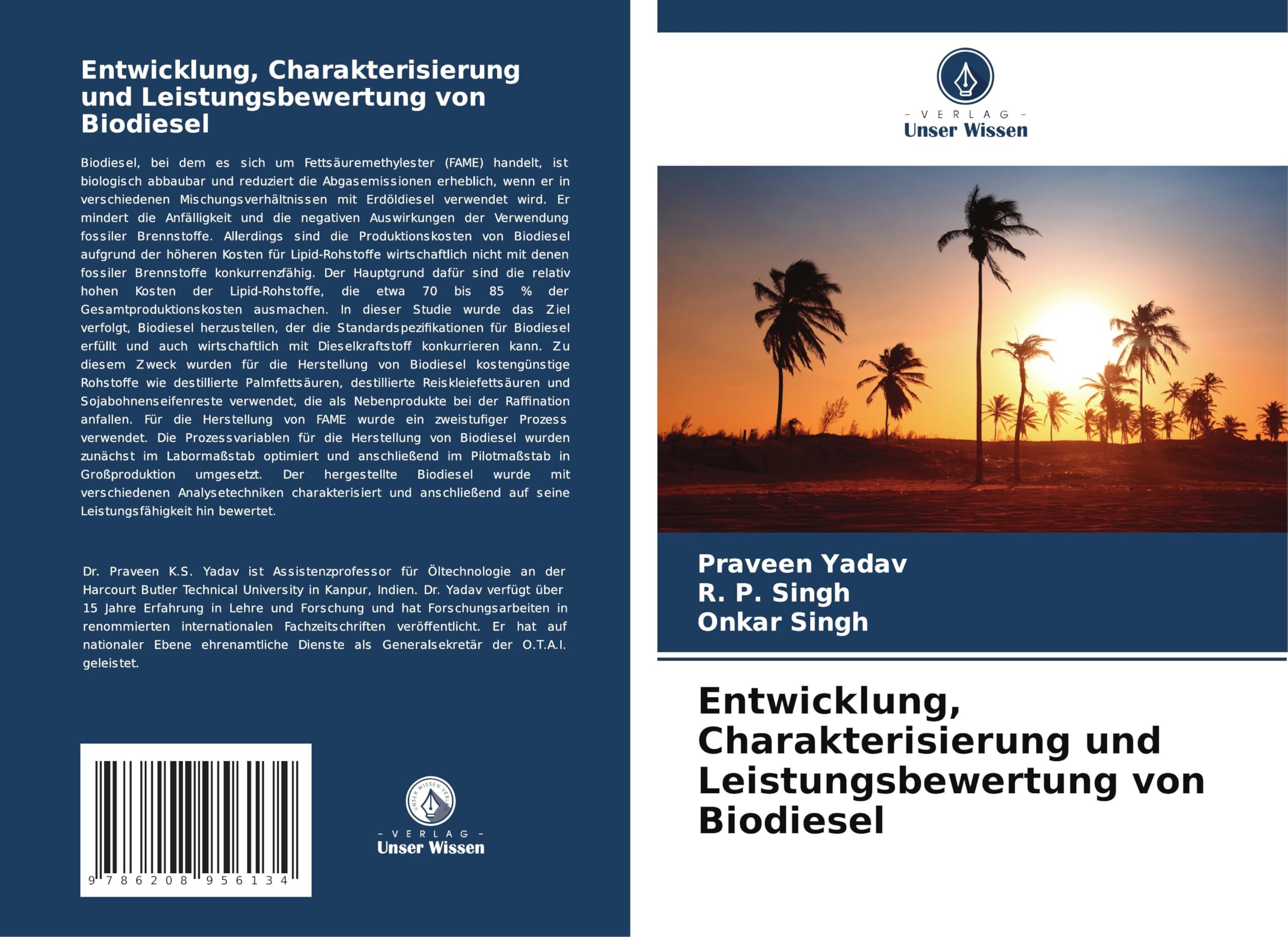 Entwicklung, Charakterisierung und Leistungsbewertung von Biodiesel Business & Technology