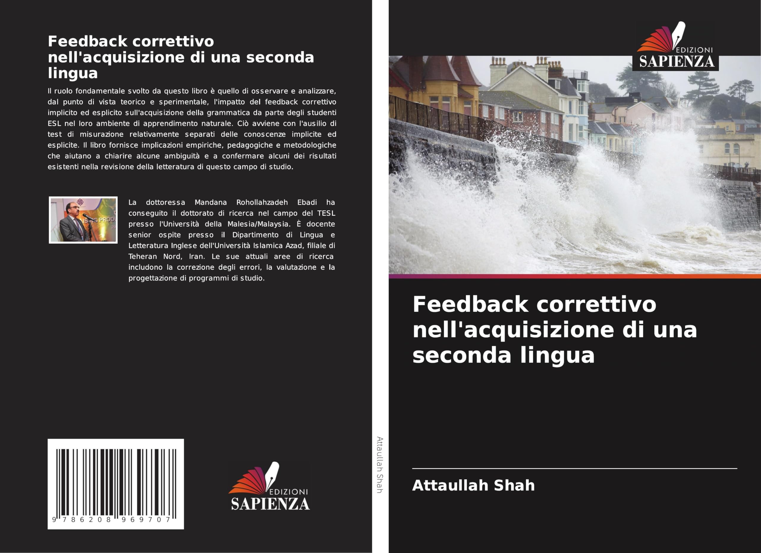 Feedback correttivo nell'acquisizione di una seconda lingua Business & Technology