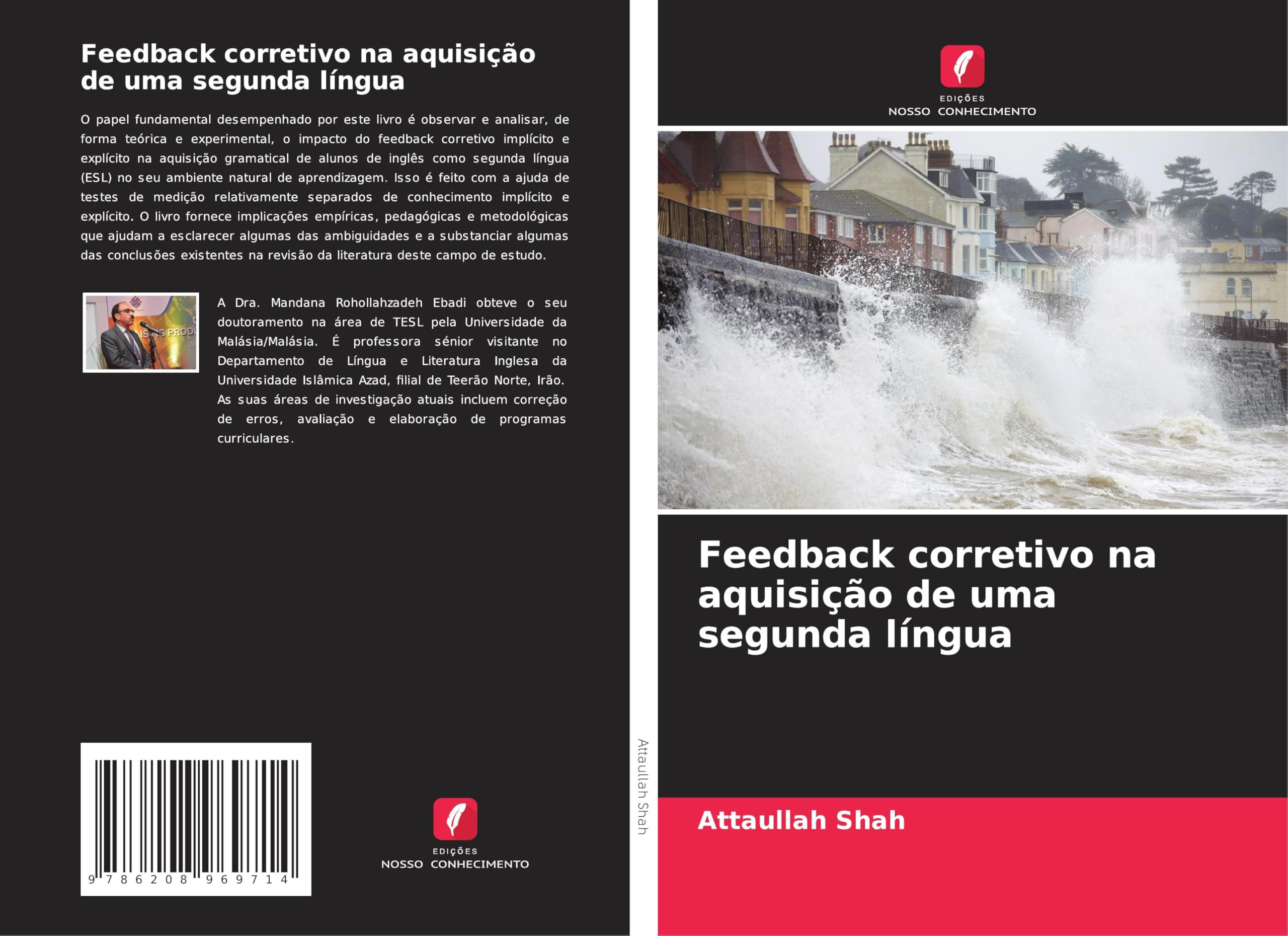 Feedback corretivo na aquisição de uma segunda língua Business & Technology