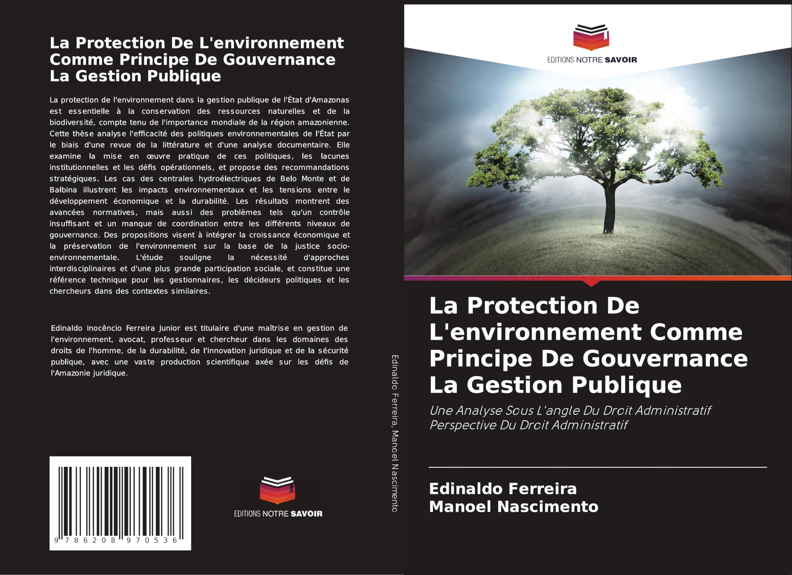 La Protection De L'environnement Comme Principe De Gouvernance La Gestion Publique Law