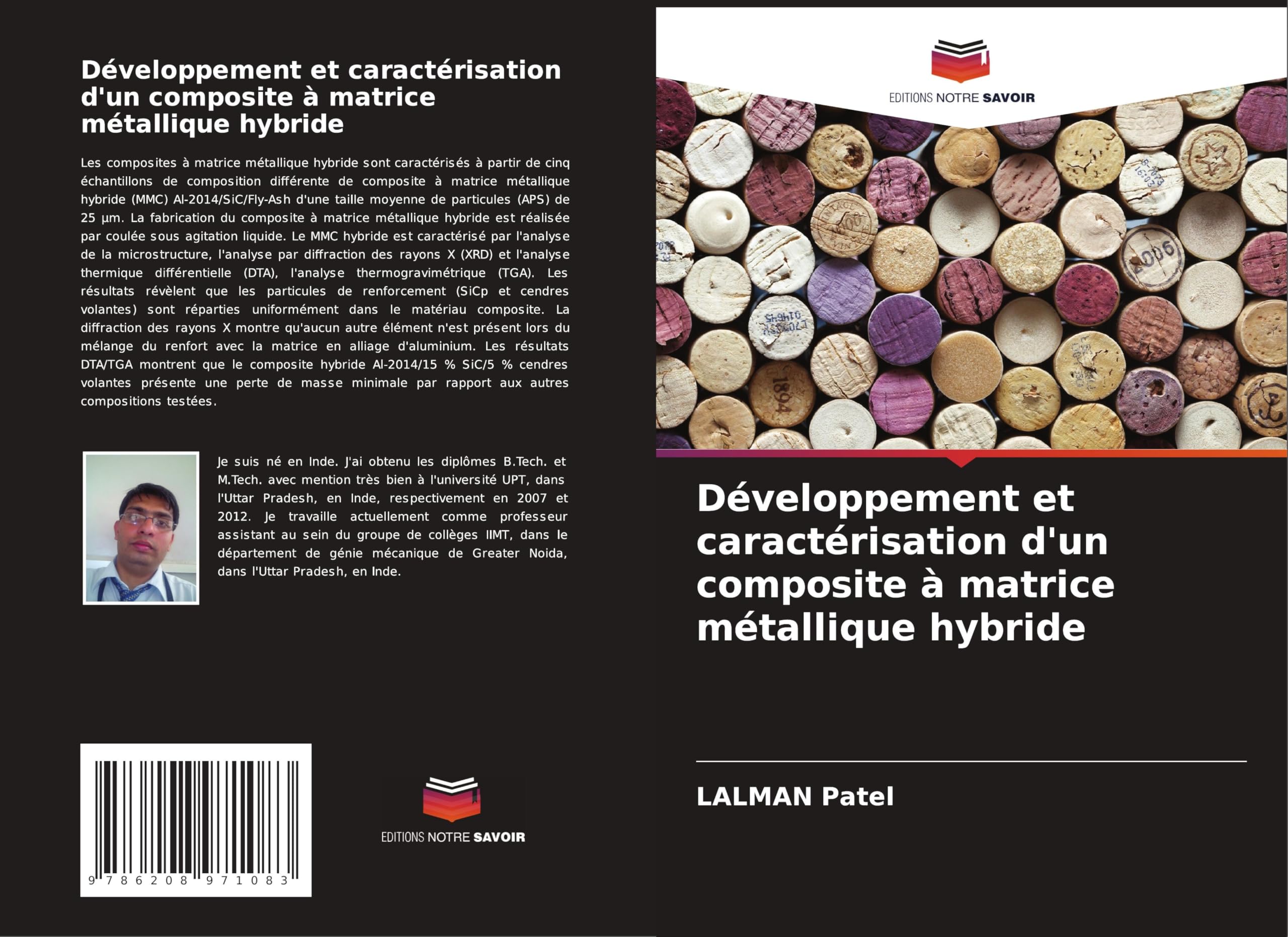 Développement et caractérisation d'un composite à matrice métallique hybride Business & Technology