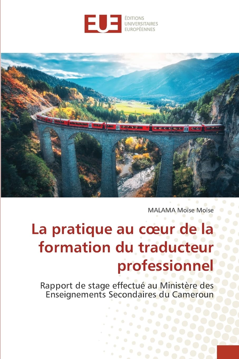 La pratique au c¿ur de la formation du traducteur professionnel Business, Finance & Career