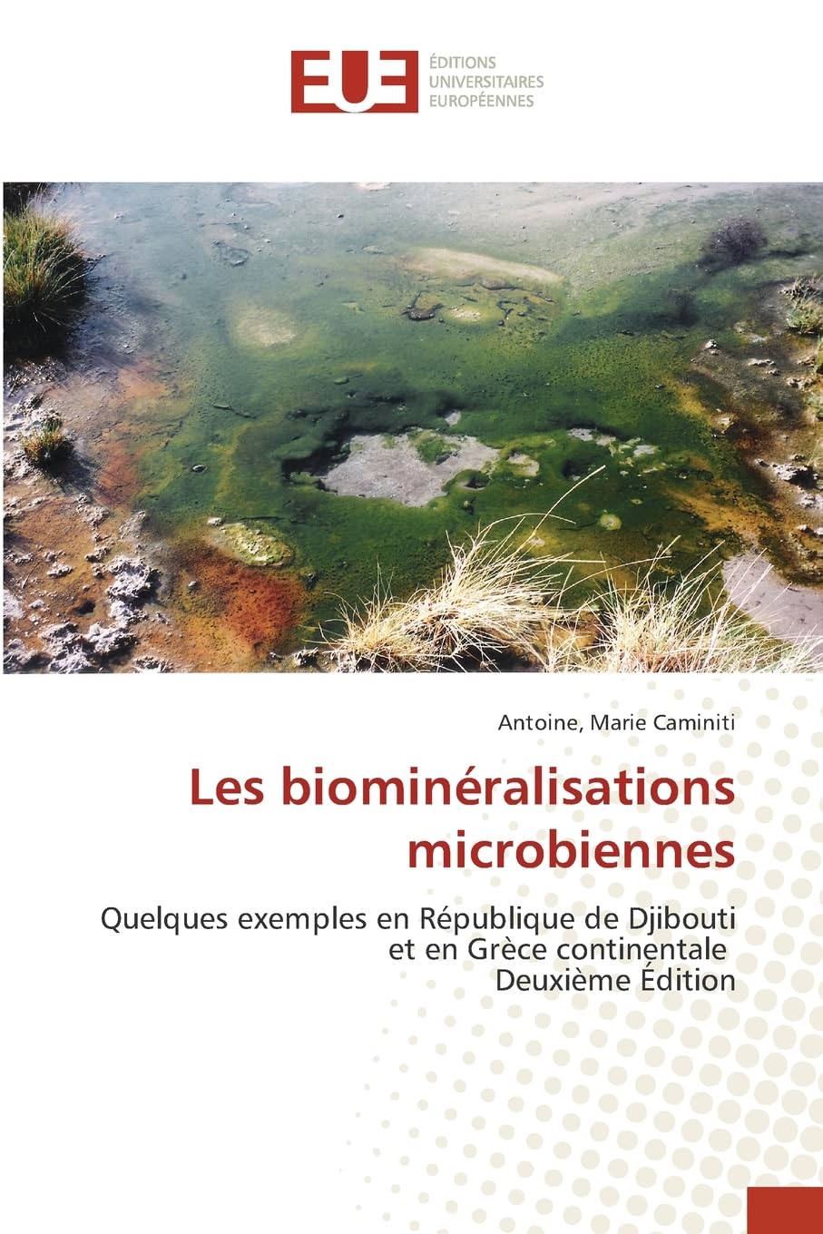 Les biominéralisations microbiennes Business & Technology