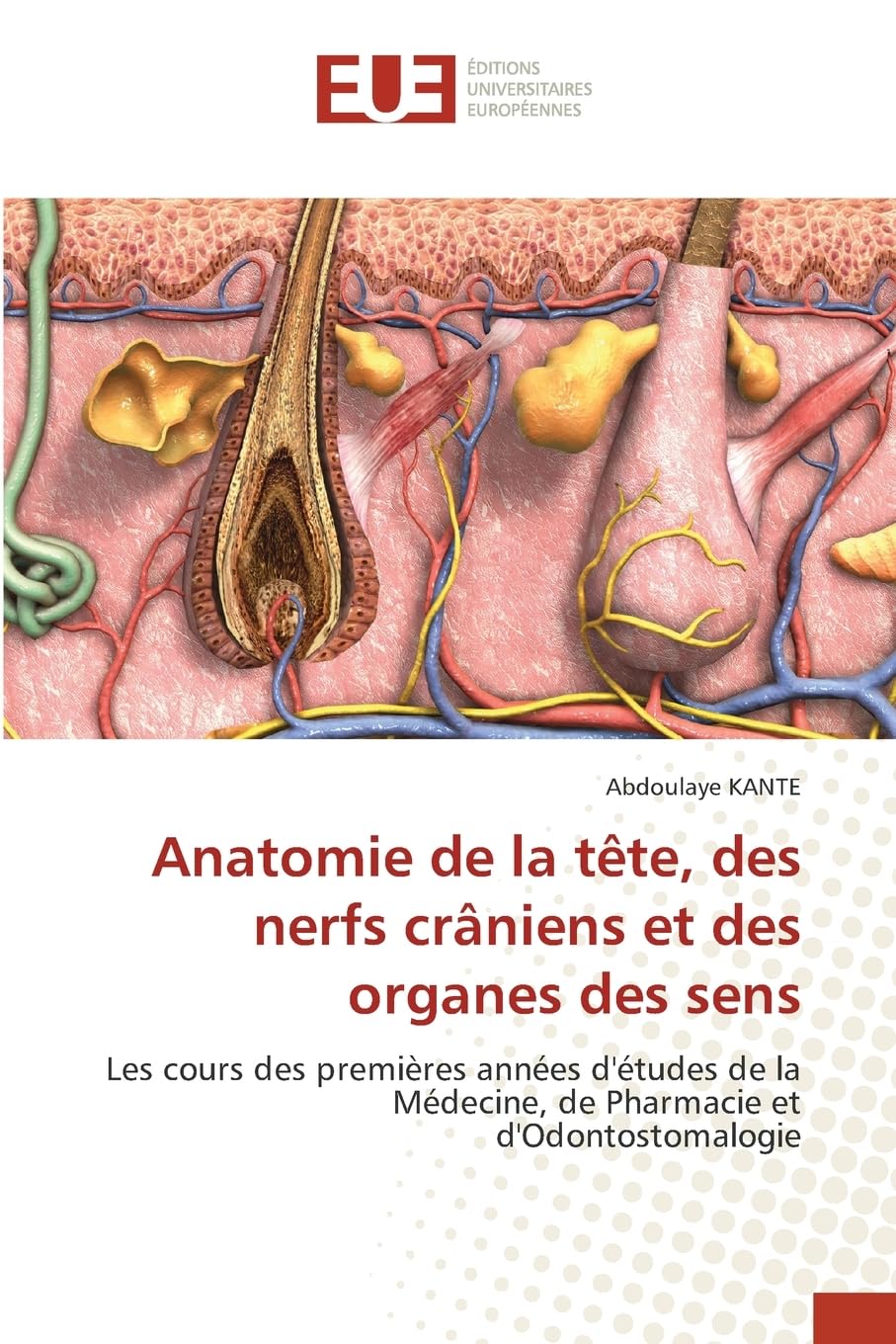 Anatomie de la tête, des nerfs crâniens et des organes des sens: Les cours des premières années d'études de la Médecine, de Pharmacie et d'Odontostomalogie Medicine