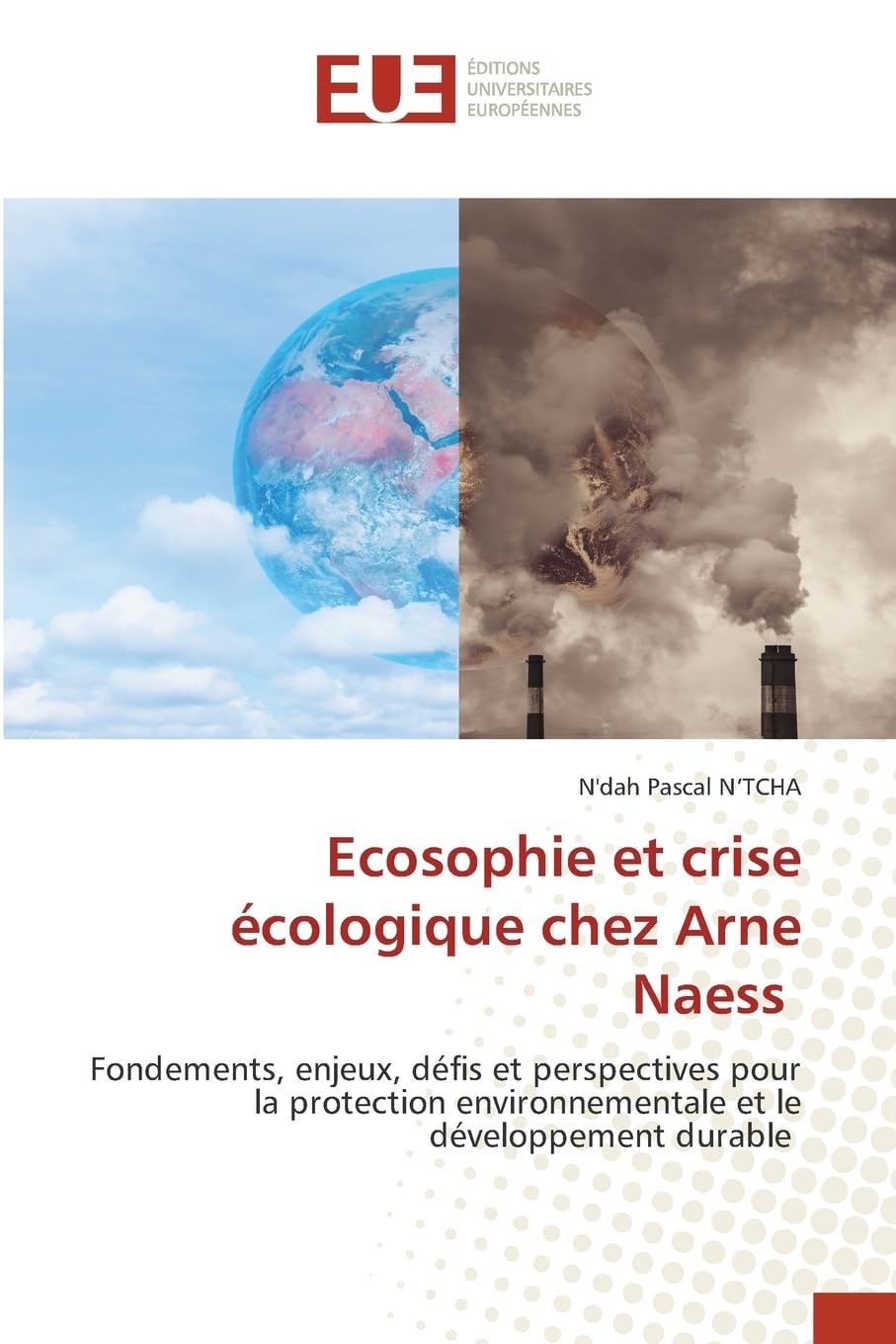 Ecosophie et crise écologique chez Arne Naess: Fondements, enjeux, défis et perspectives pour la protection environnementale et le développement durable Business & Technology
