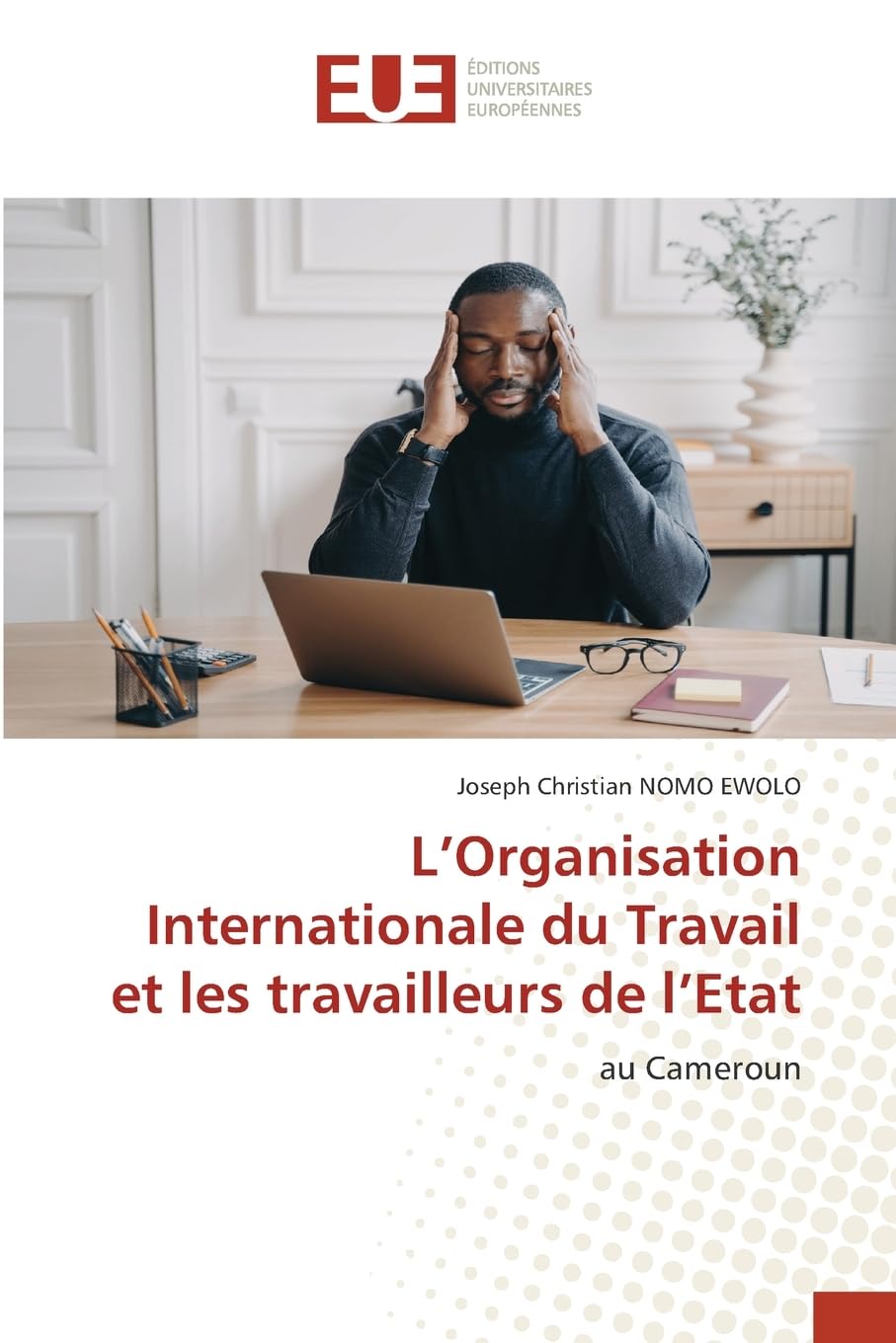 L'Organisation Internationale du Travail et les travailleurs de l'Etat: au Cameroun Law