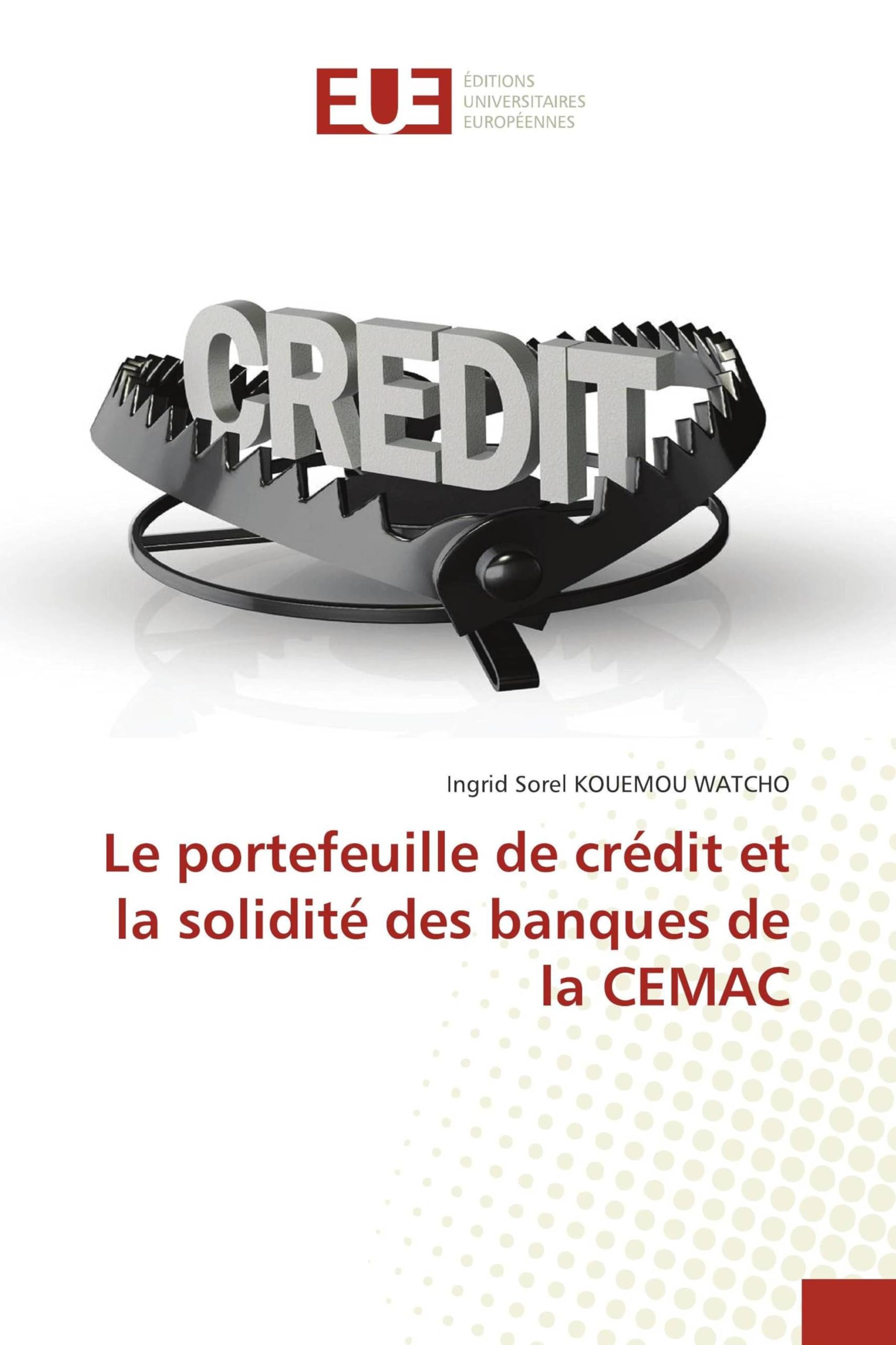 Le portefeuille de crédit et la solidité des banques de la CEMAC Law