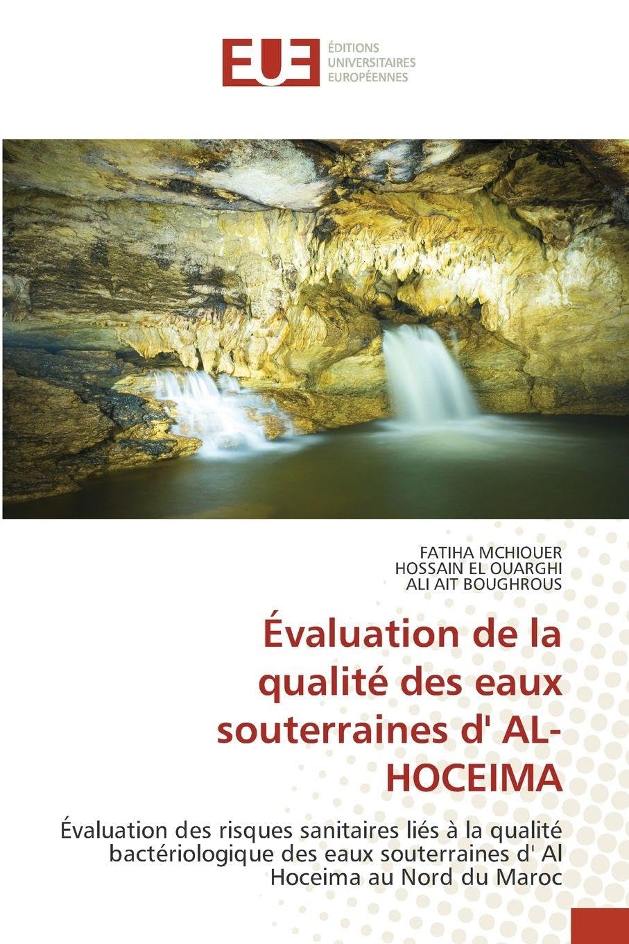 Évaluation de la qualité des eaux souterraines d' AL-HOCEIMA: Évaluation des risques sanitaires liés à la qualité bactériologique des eaux souterraines d' Al Hoceima au Nord du Maroc Natural Sciences