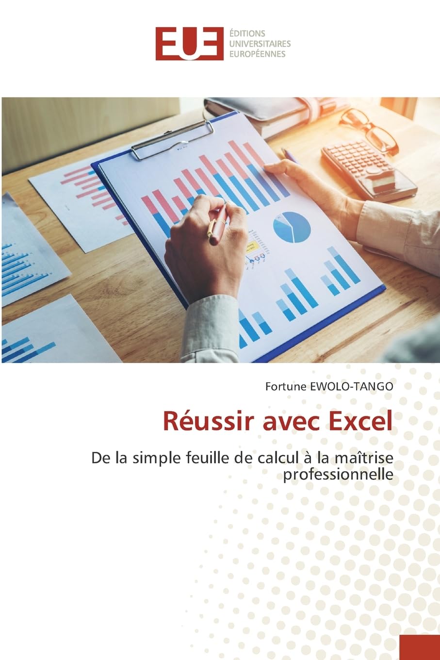 Réussir avec Excel: De la simple feuille de calcul à la maîtrise professionnelle Business, Finance & Career