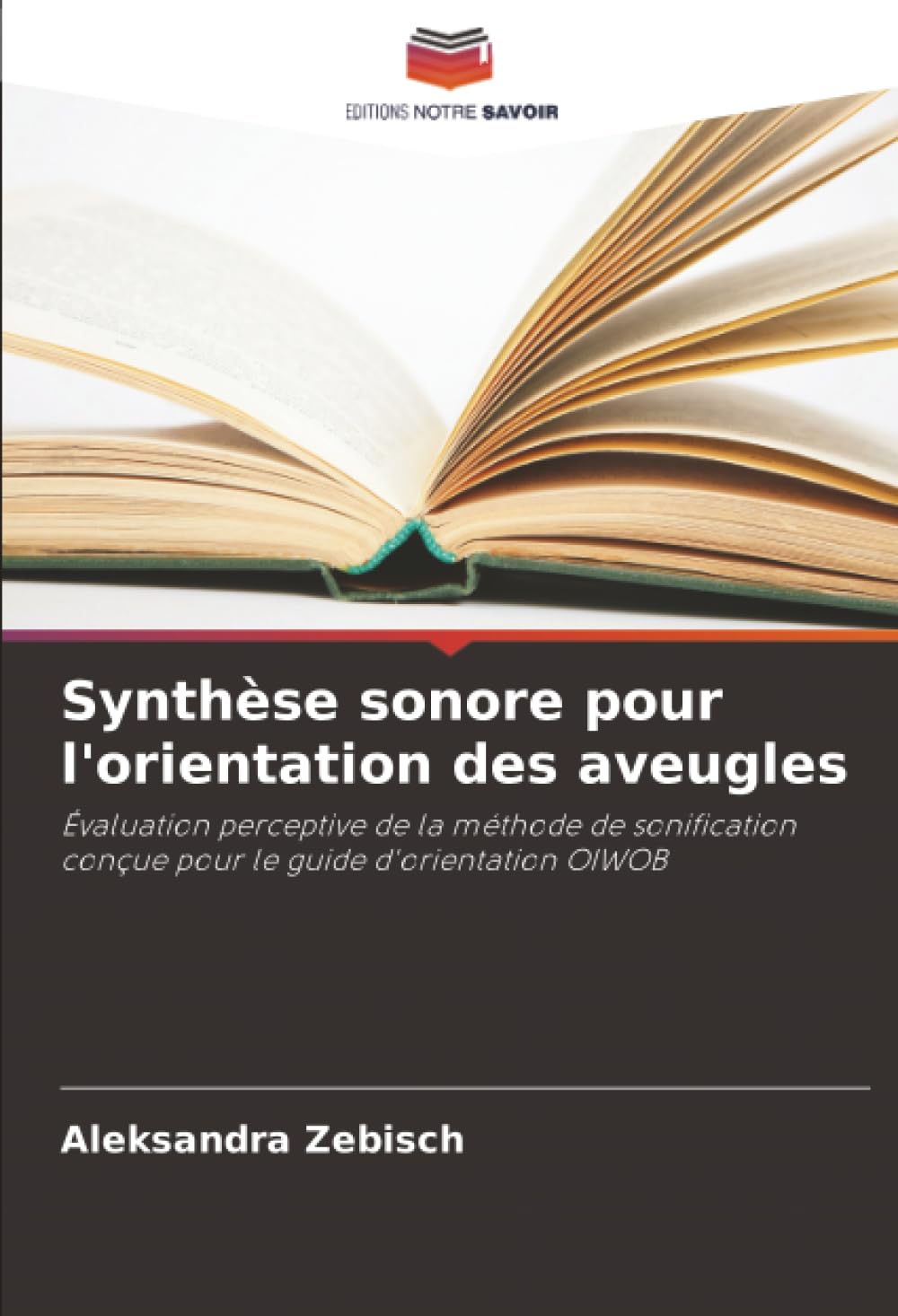 Synthèse sonore pour l'orientation des aveugles Law