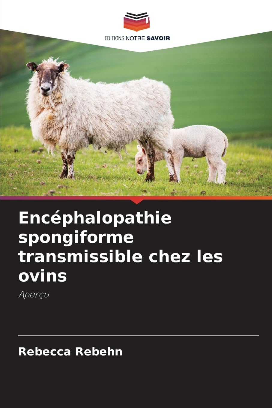 Encéphalopathie spongiforme transmissible chez les ovins Natural Sciences