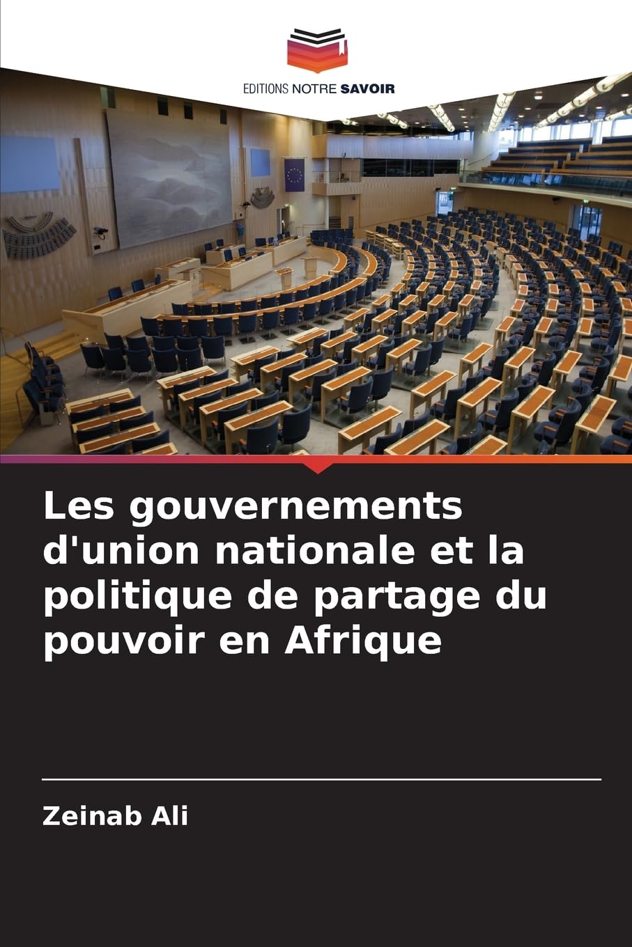 Les gouvernements d'union nationale et la politique de partage du pouvoir en Afrique Law