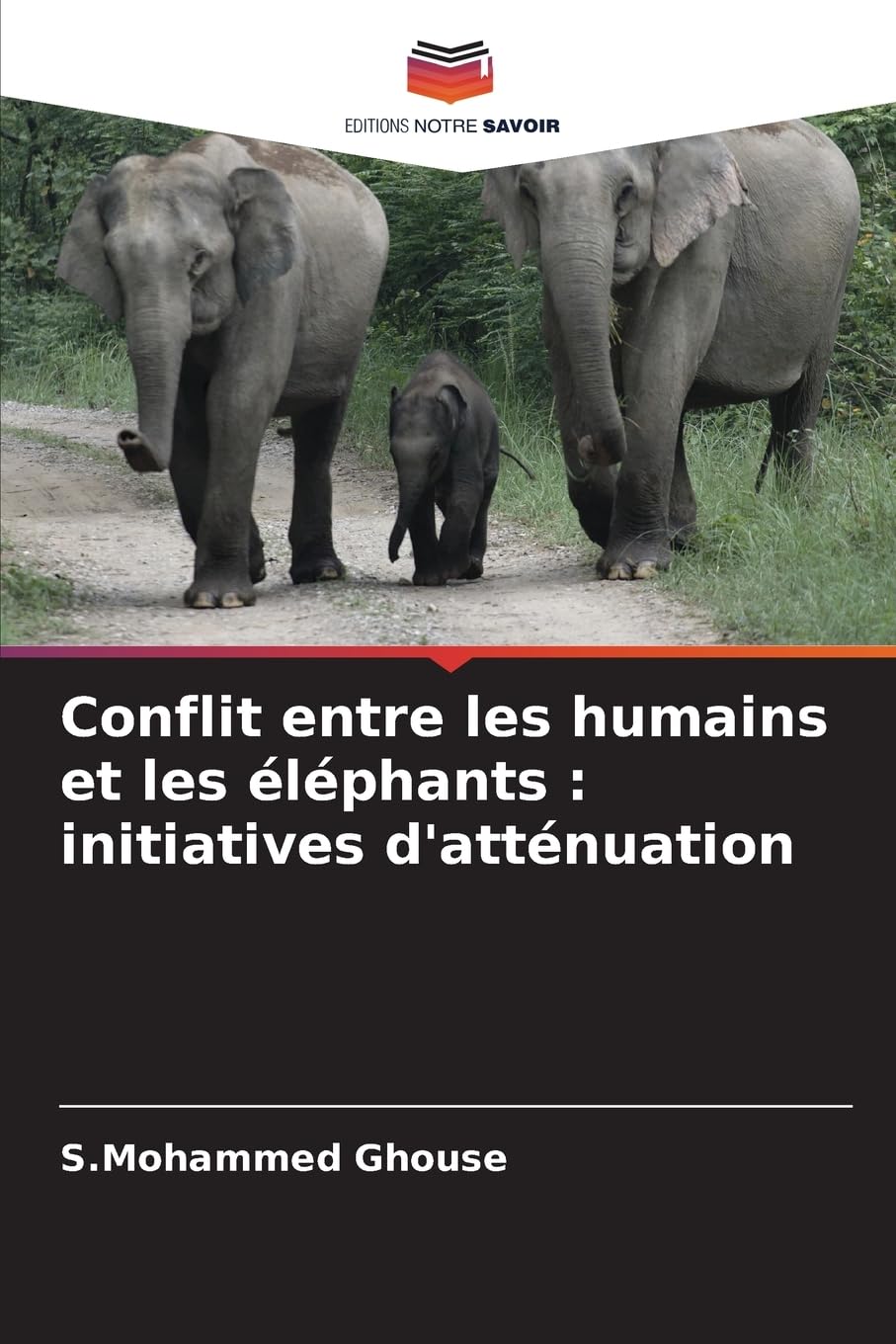 Conflit entre les humains et les éléphants : initiatives d'atténuation Natural Sciences