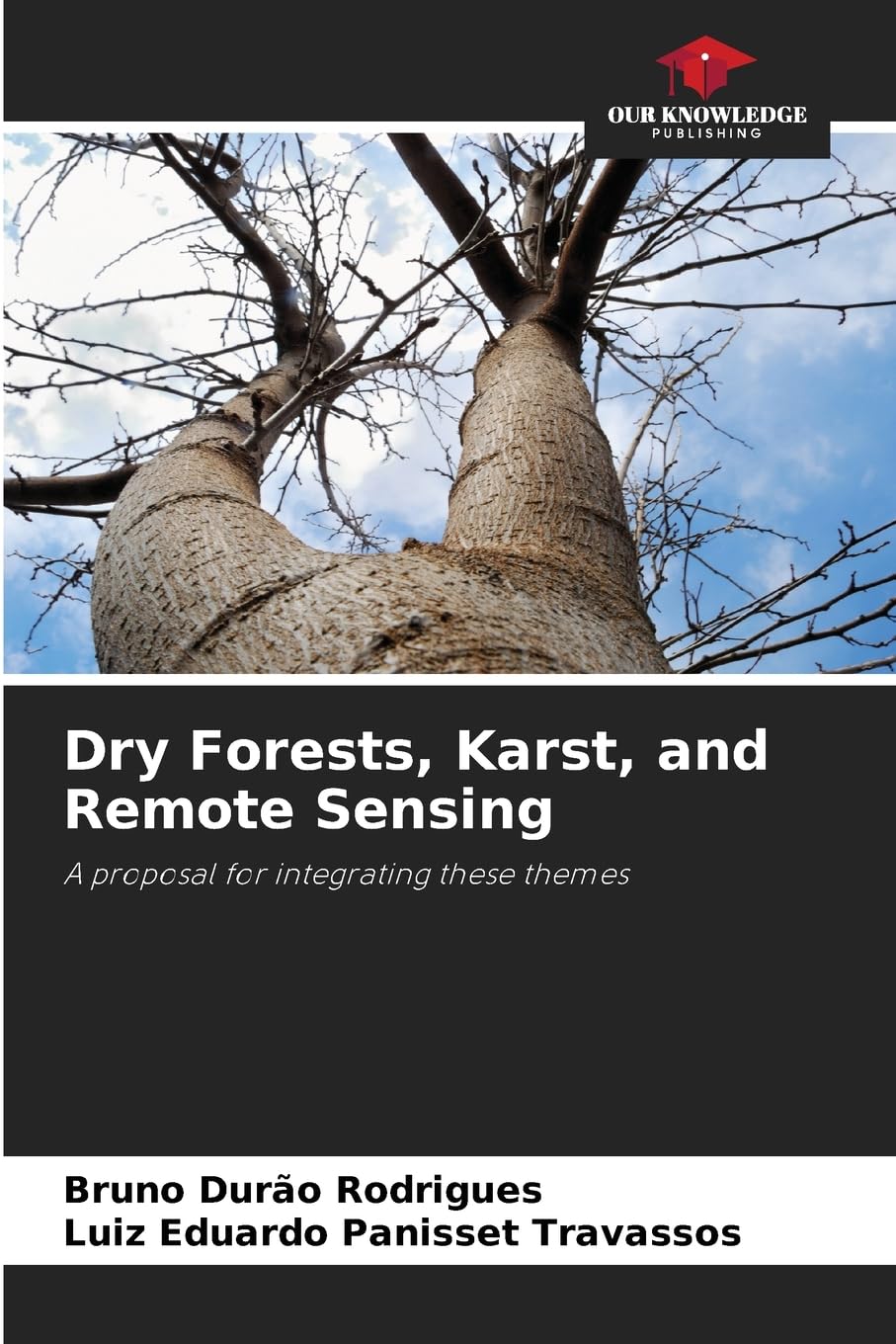 Dry Forests, Karst, and Remote Sensing Business & Technology