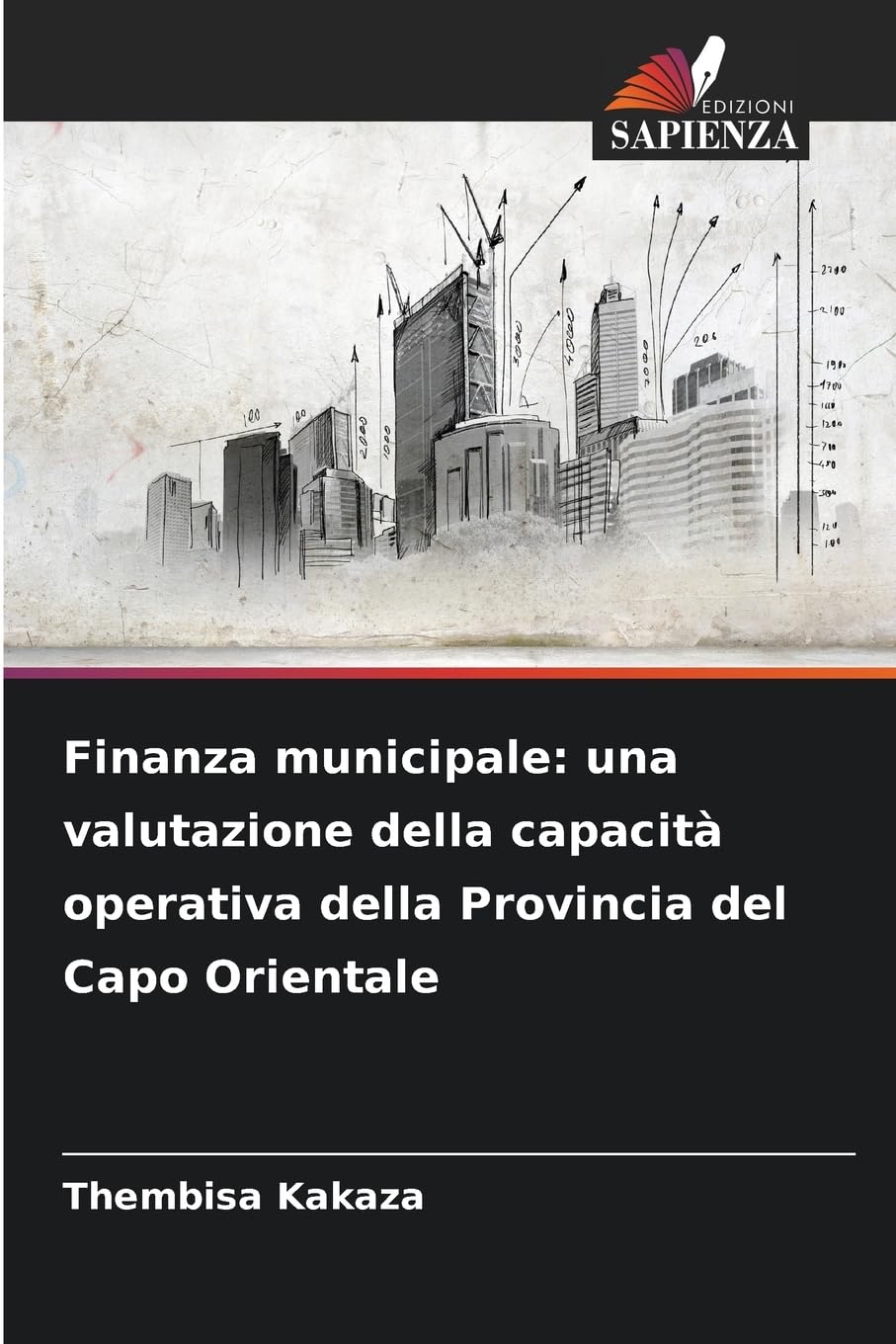 Finanza municipale: una valutazione della capacità operativa della Provincia del Capo Orientale Law