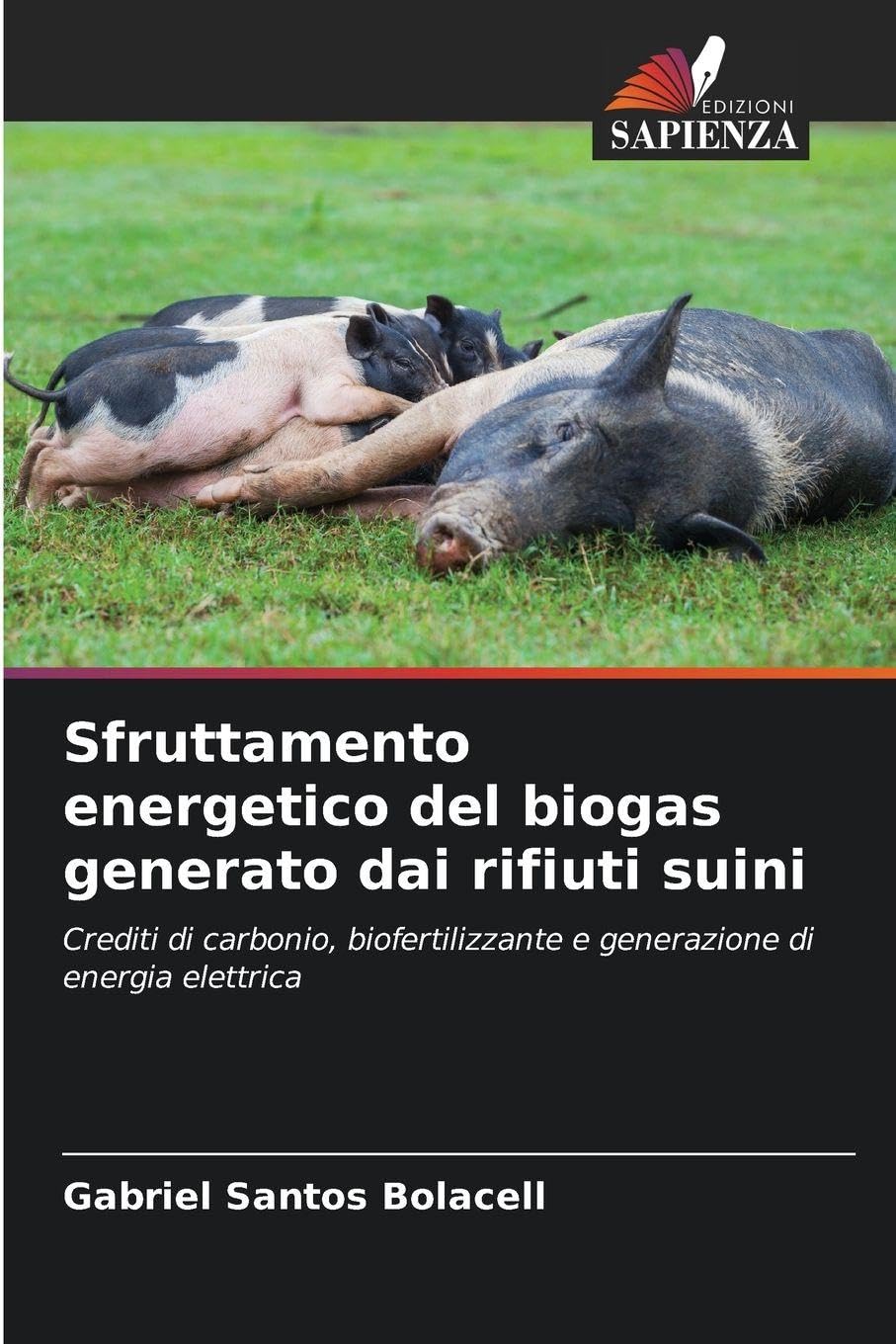 Sfruttamento energetico del biogas generato dai rifiuti suini Arts & Music