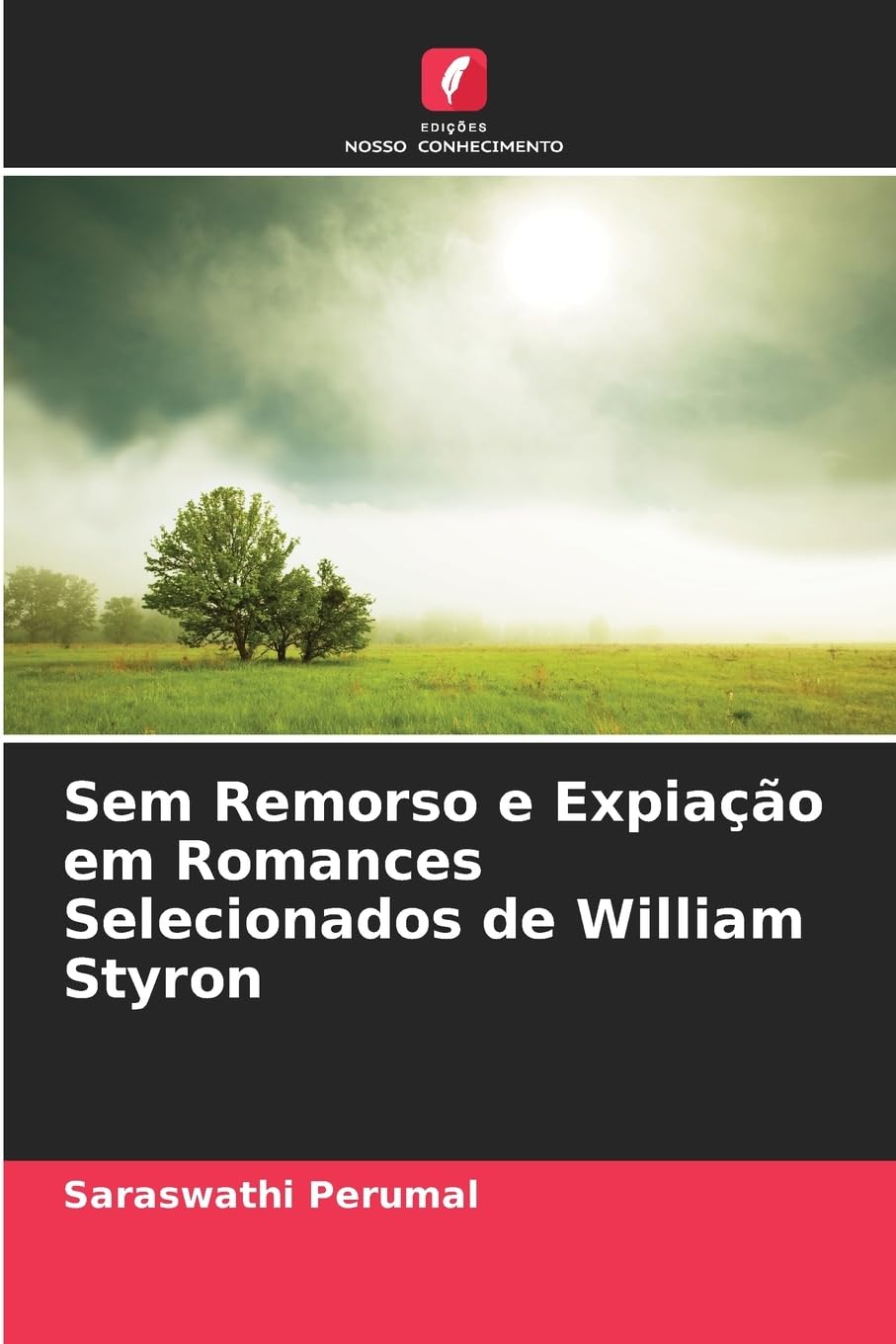 Sem Remorso e Expiação em Romances Selecionados de William Styron Social Sciences