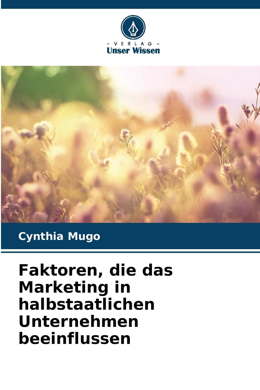 Faktoren, die das Marketing in halbstaatlichen Unternehmen beeinflussen Law