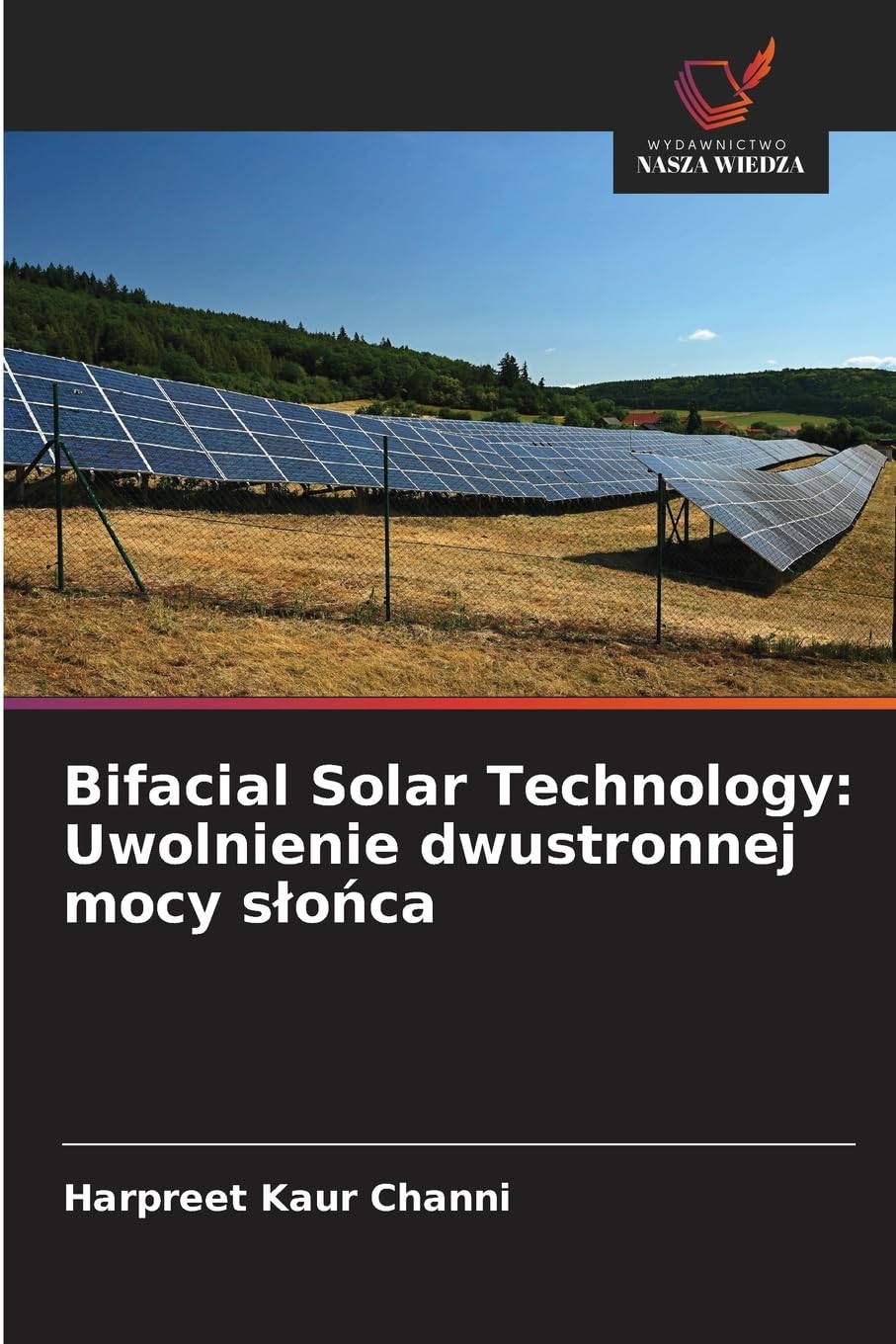 Bifacial Solar Technology: Uwolnienie dwustronnej mocy s¿o¿ca Business & Technology