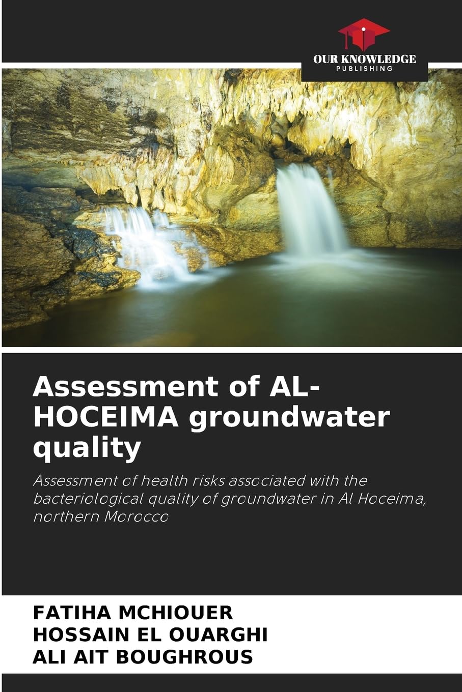 Assessment of AL-HOCEIMA groundwater quality Natural Sciences
