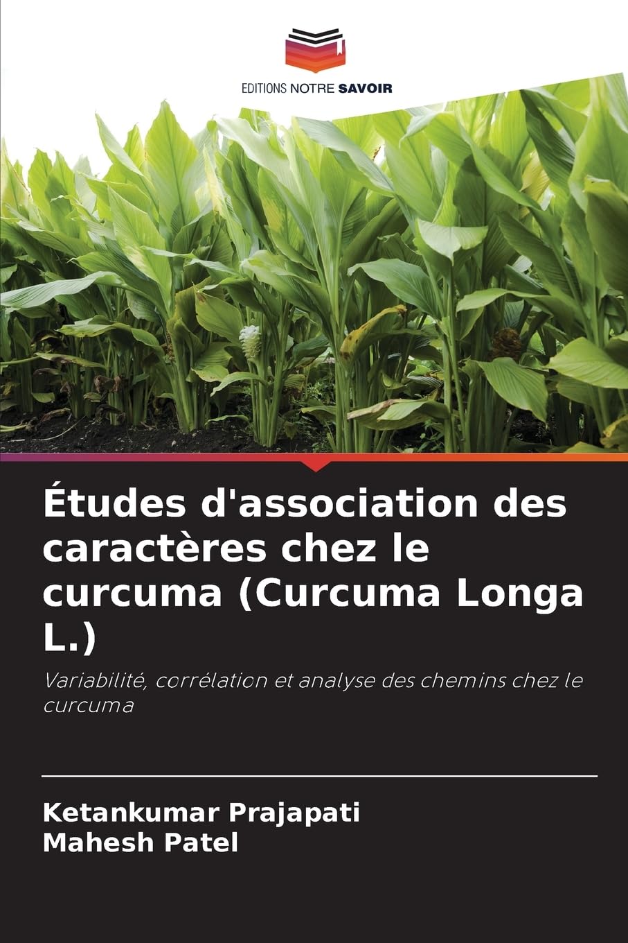 Études d'association des caractères chez le curcuma (Curcuma Longa L.) Natural Sciences
