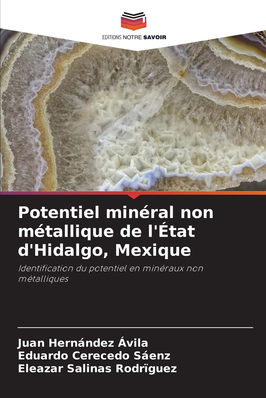 Potentiel minéral non métallique de l'État d'Hidalgo, Mexique: Identification du potentiel en minéraux non métalliques Natural Sciences
