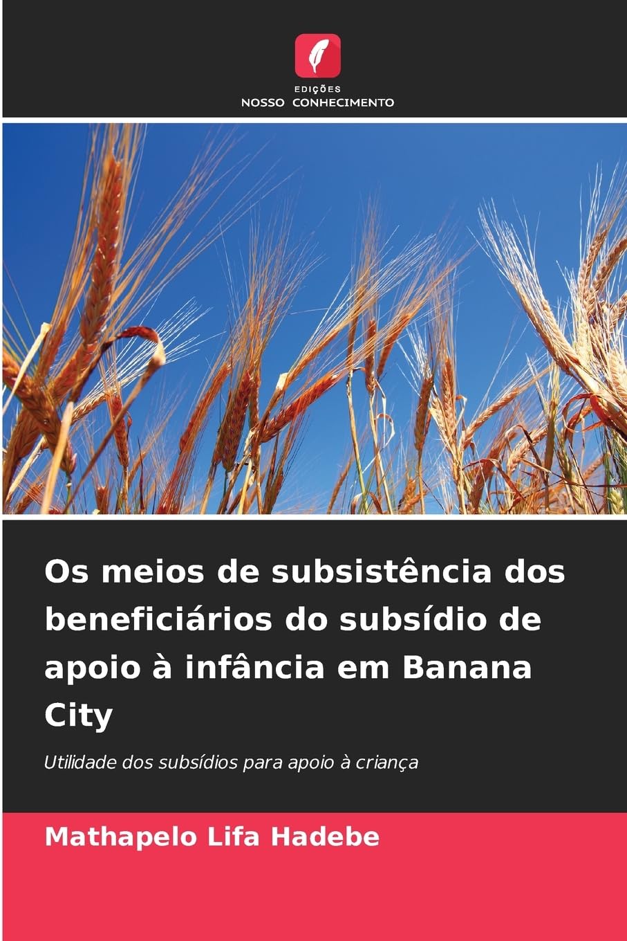 Os meios de subsistência dos beneficiários do subsídio de apoio à infância em Banana City Law