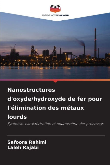 Nanostructures d'oxyde/hydroxyde de fer pour l'élimination des métaux lourds Business & Technology