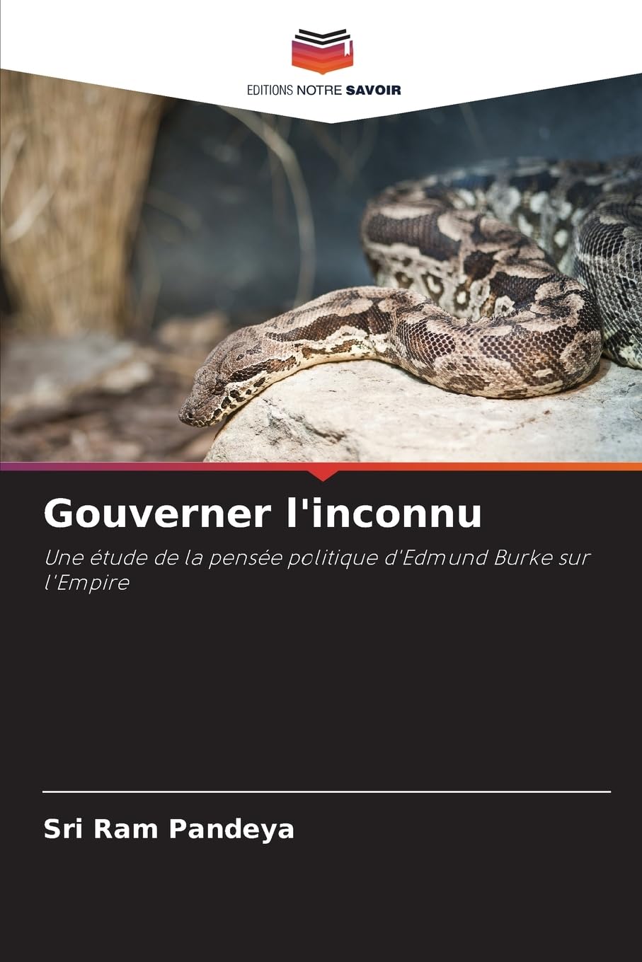 Gouverner l'inconnu: Une étude de la pensée politique d'Edmund Burke sur l'Empire Law
