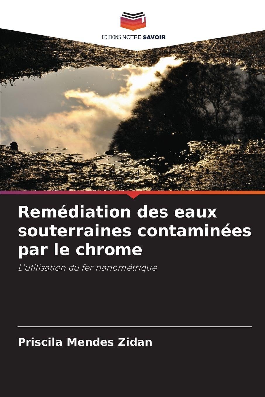 Remédiation des eaux souterraines contaminées par le chrome Business & Technology