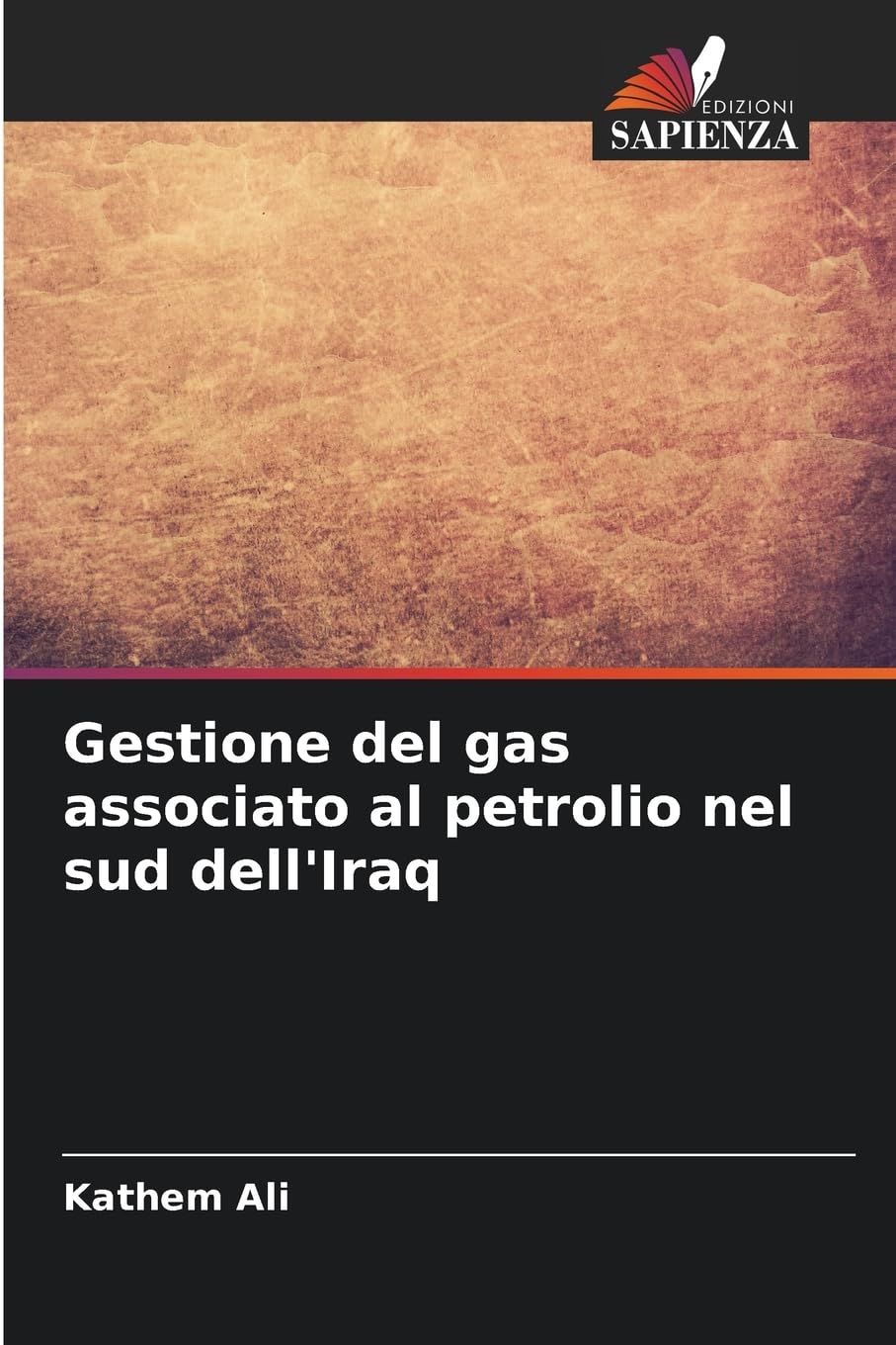 Gestione del gas associato al petrolio nel sud dell'Iraq Business & Technology