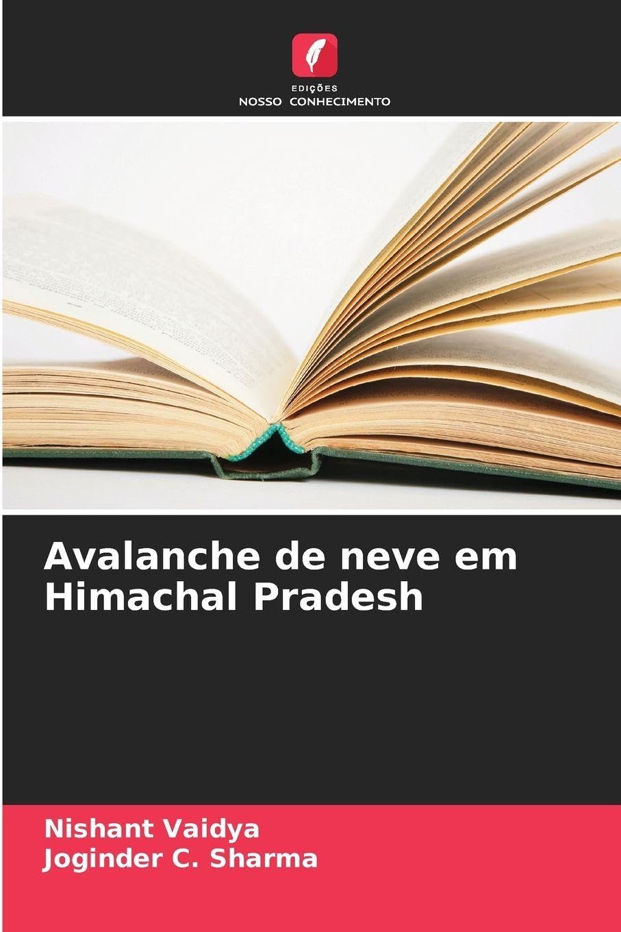 Avalanche de neve em Himachal Pradesh Geology & Geography