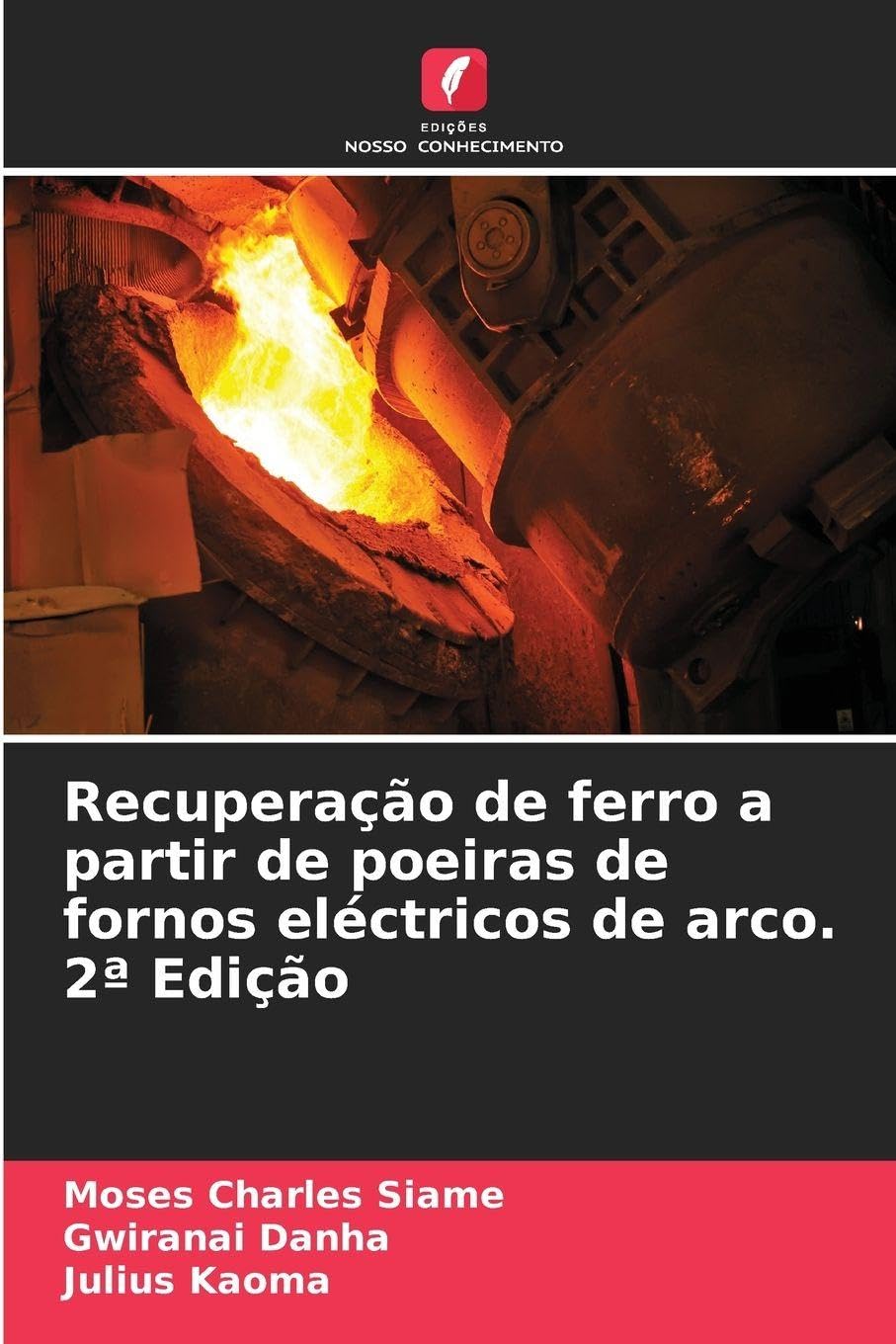 Recuperação de ferro a partir de poeiras de fornos eléctricos de arco. 2ª Edição Business & Technology