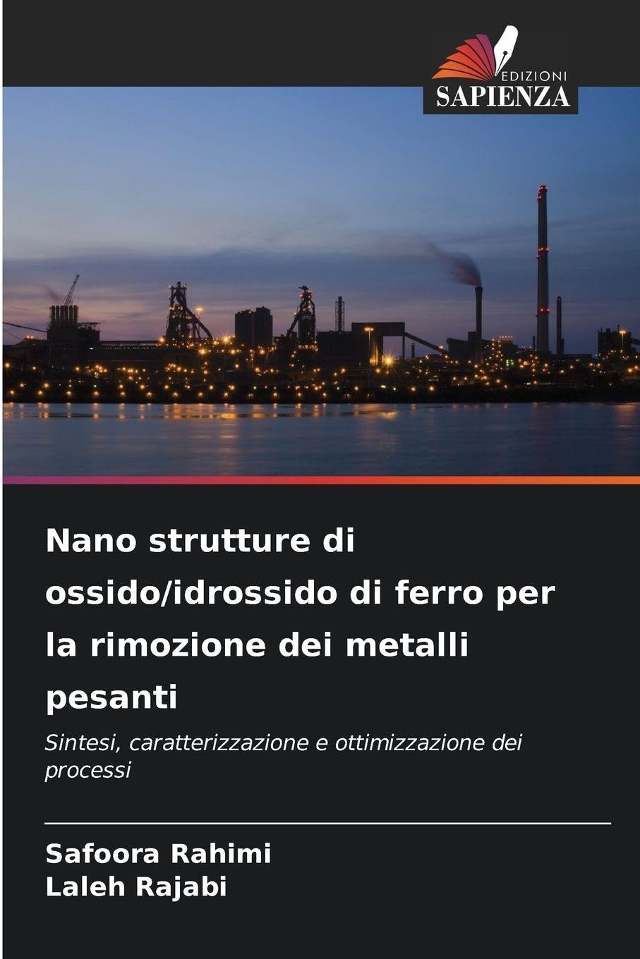 Nano strutture di ossido/idrossido di ferro per la rimozione dei metalli pesanti Business & Technology