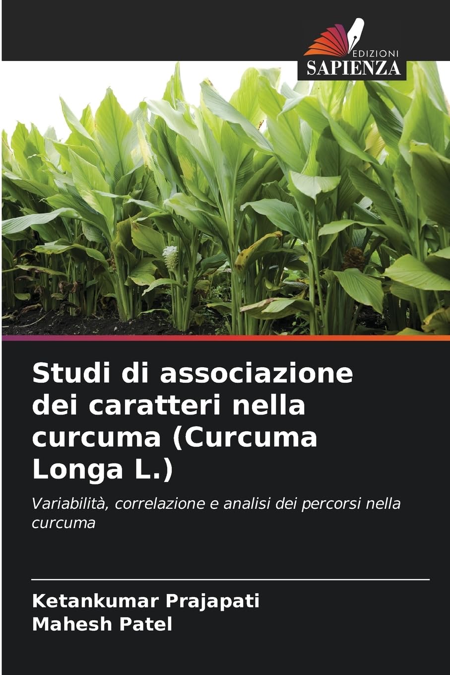 Studi di associazione dei caratteri nella curcuma (Curcuma Longa L.) Natural Sciences