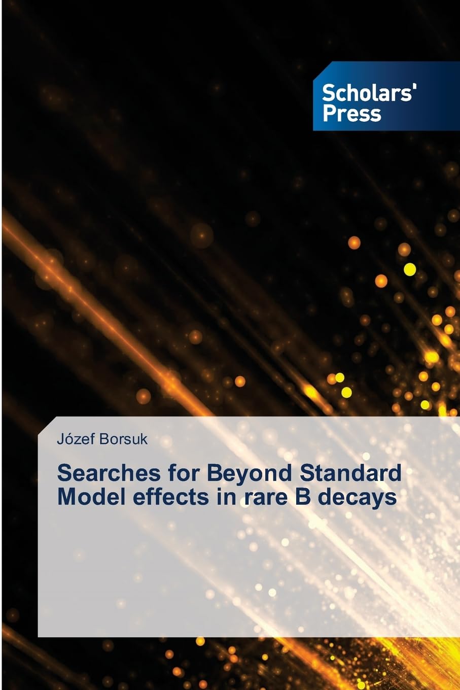Searches for Beyond Standard Model effects in rare B decays Natural Sciences