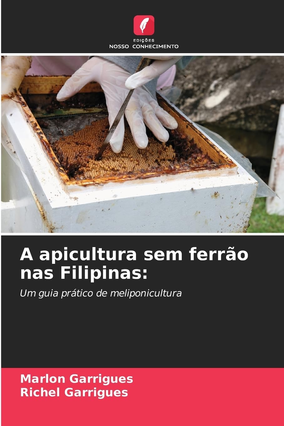 A apicultura sem ferrão nas Filipinas: Natural Sciences