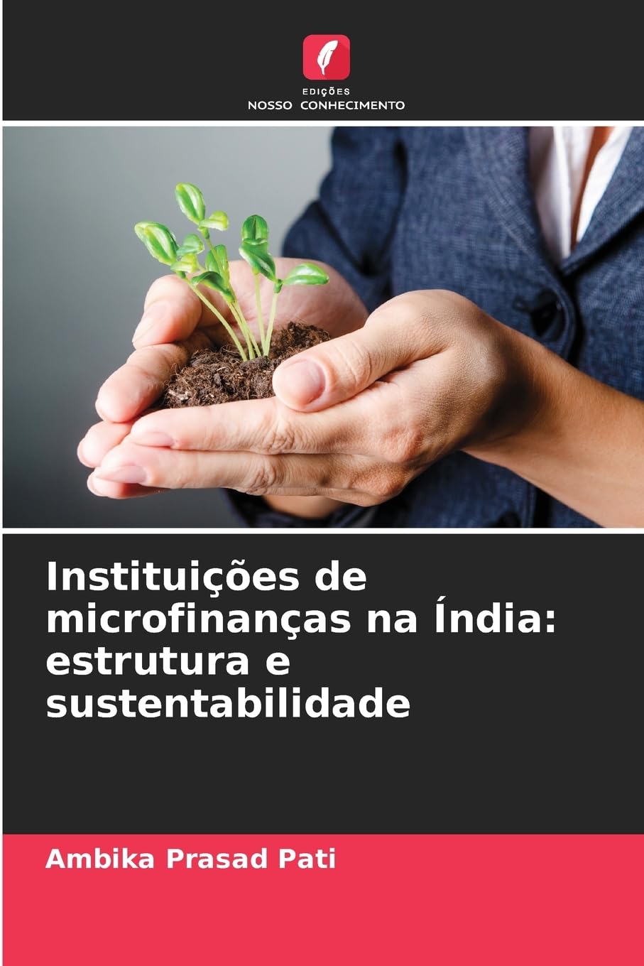 Instituições de microfinanças na Índia: estrutura e sustentabilidade Business, Finance & Career