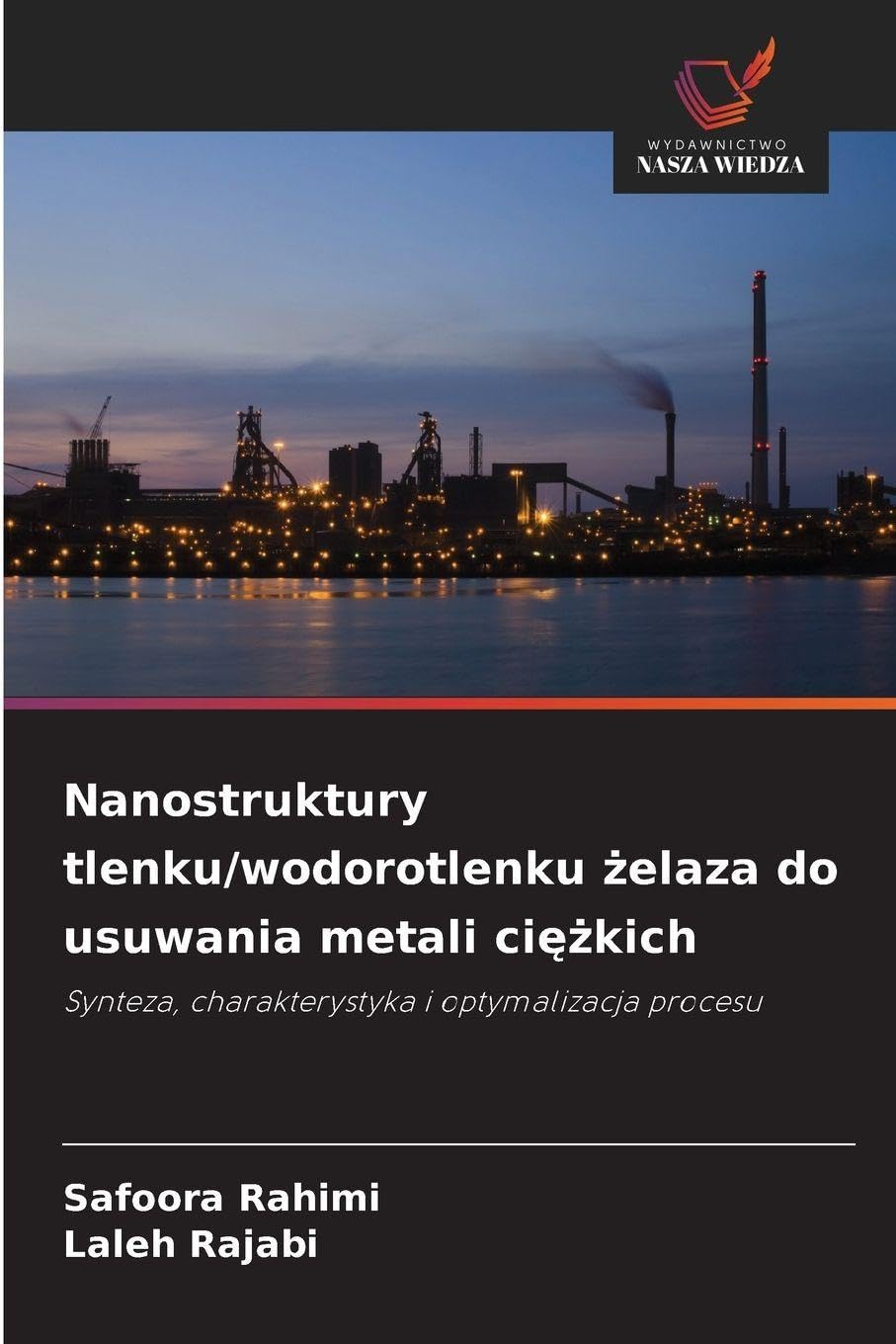 Nanostruktury tlenku/wodorotlenku ¿elaza do usuwania metali ci¿¿kich Business & Technology