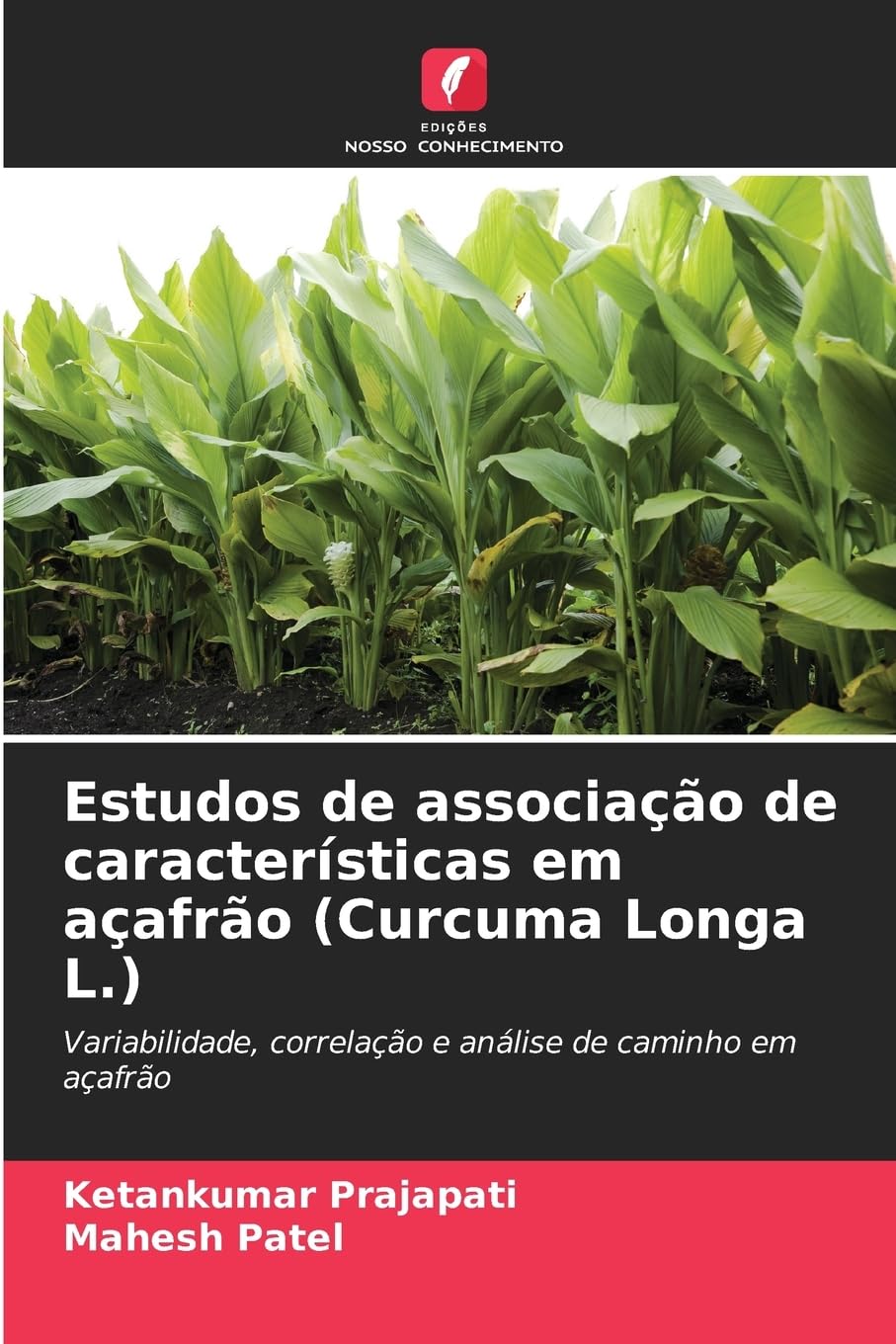 Estudos de associação de características em açafrão (Curcuma Longa L.) Natural Sciences