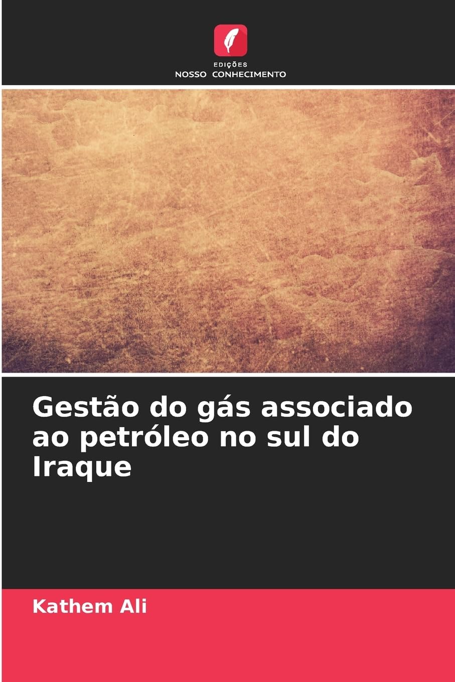 Gestão do gás associado ao petróleo no sul do Iraque Business & Technology
