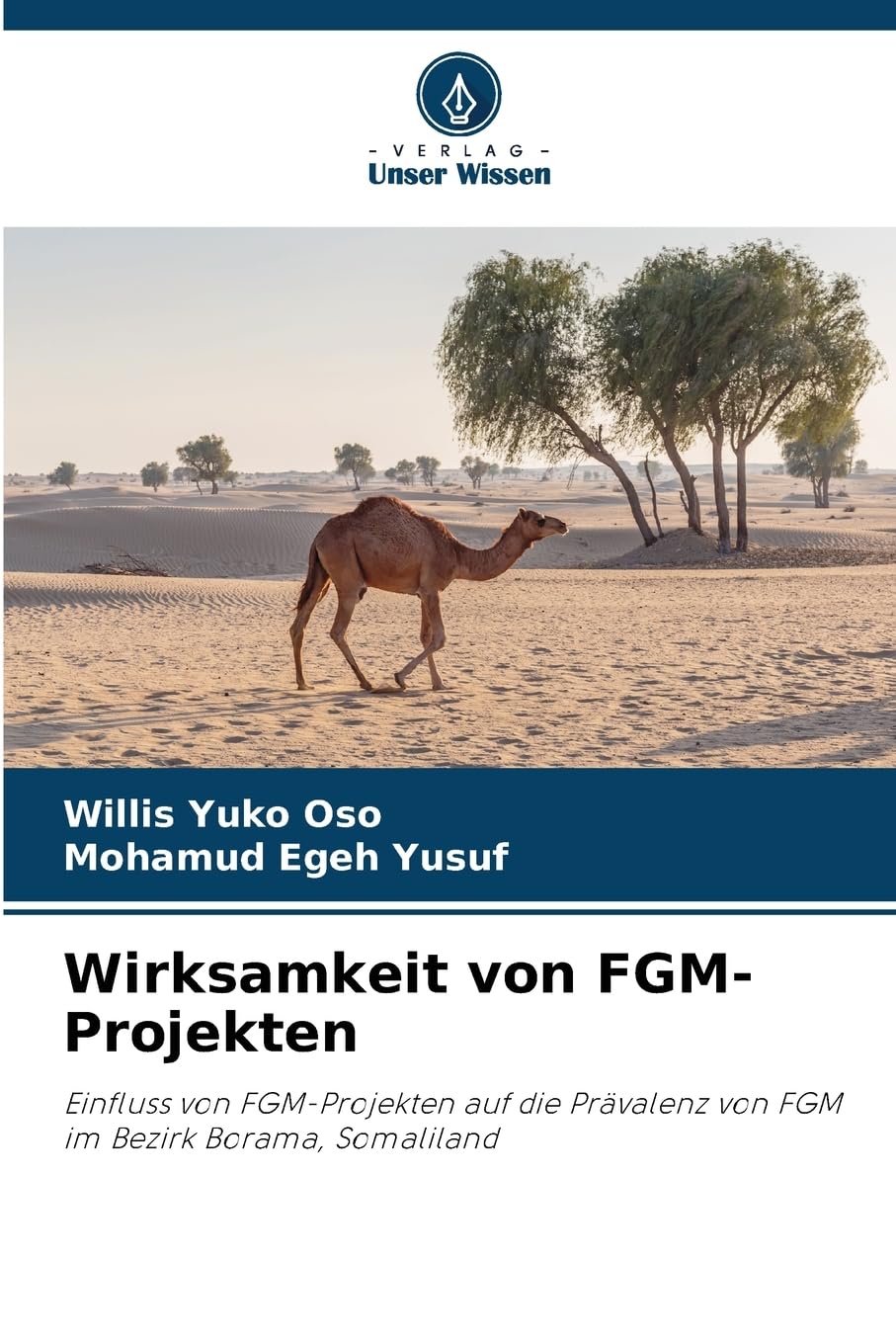 Wirksamkeit von FGM-Projekten Law
