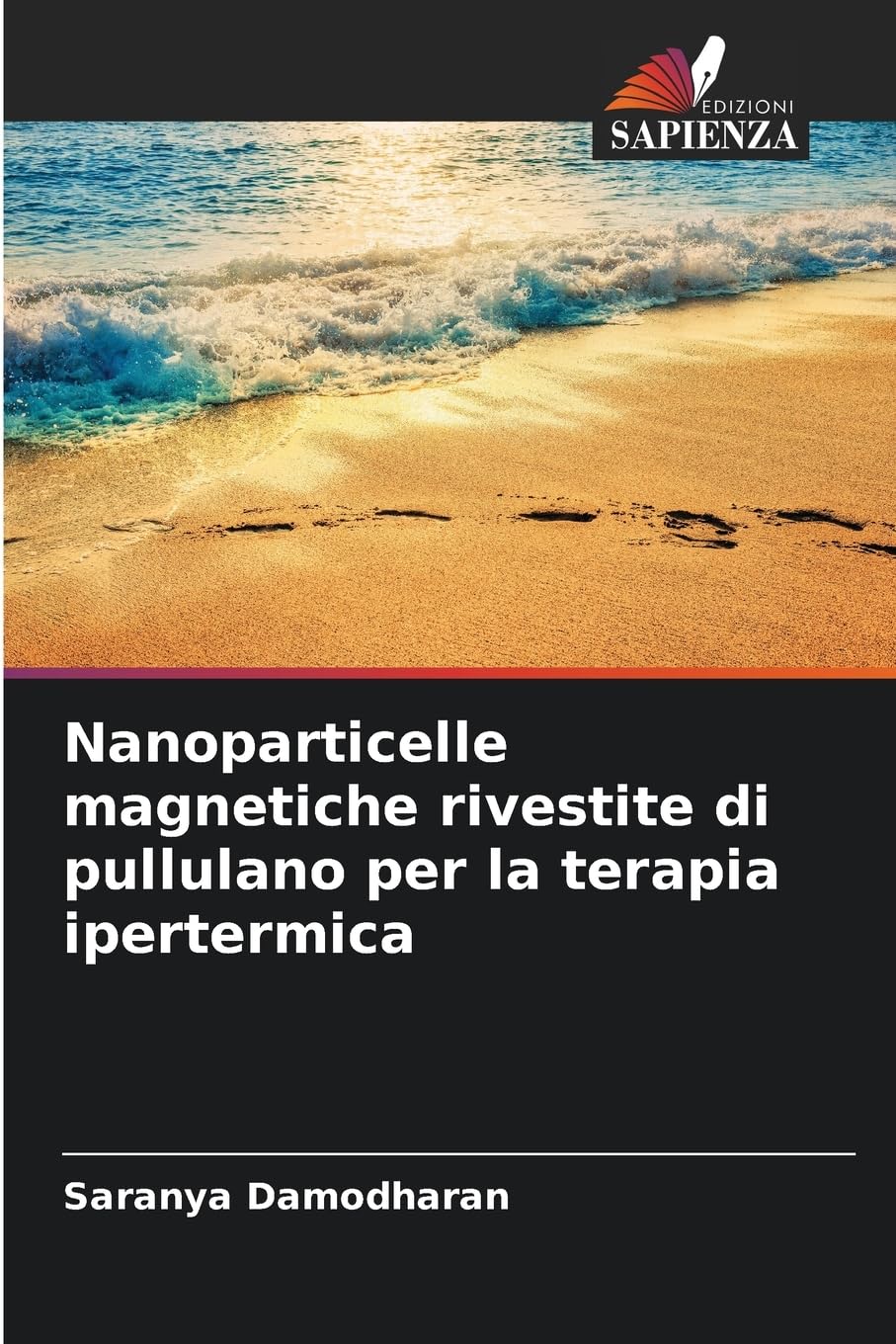 Nanoparticelle magnetiche rivestite di pullulano per la terapia ipertermica Natural Sciences